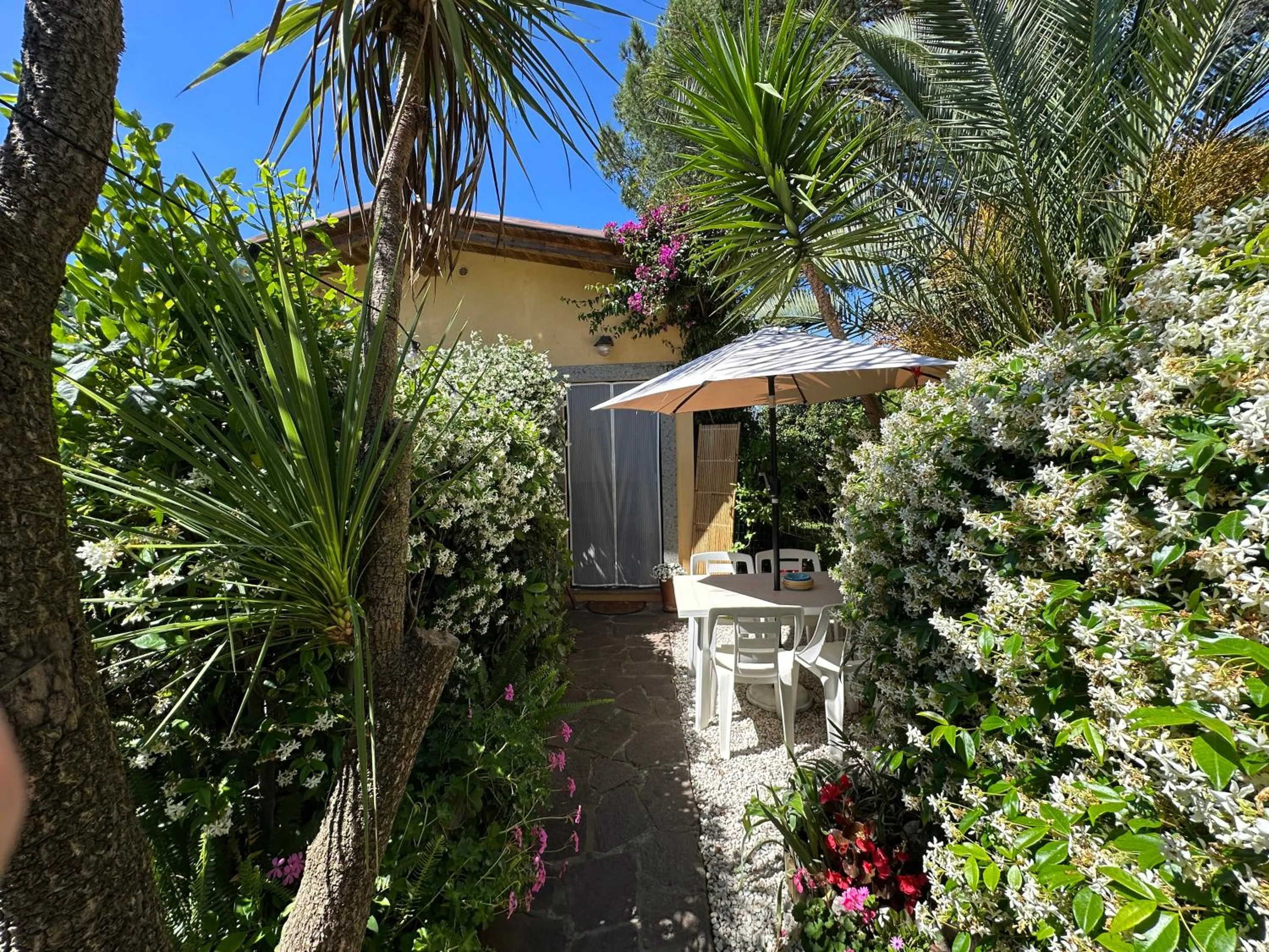Garden in Le Cicale