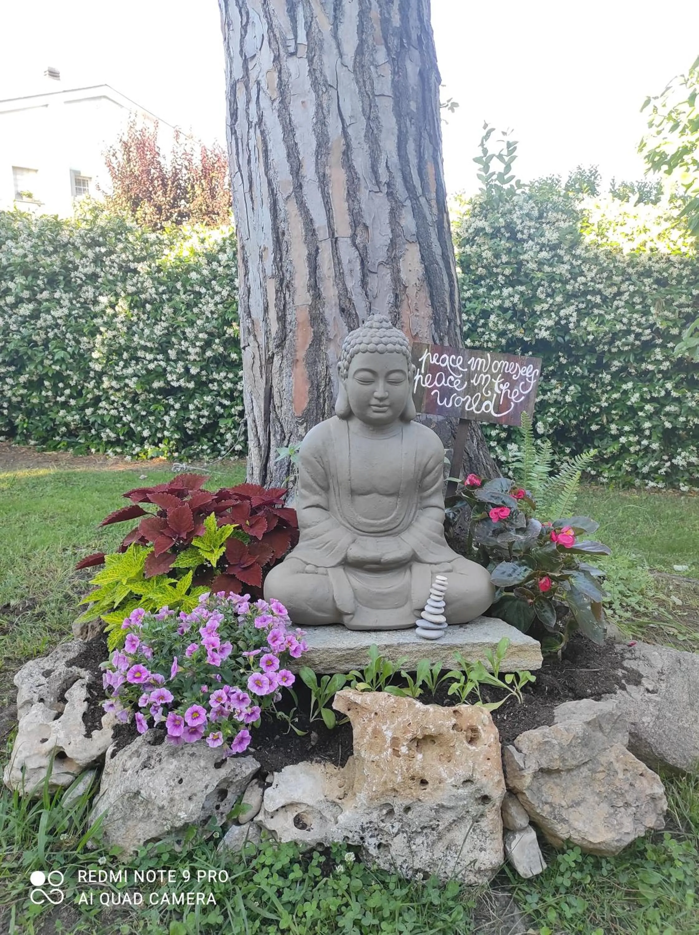 Garden view in Le Cicale