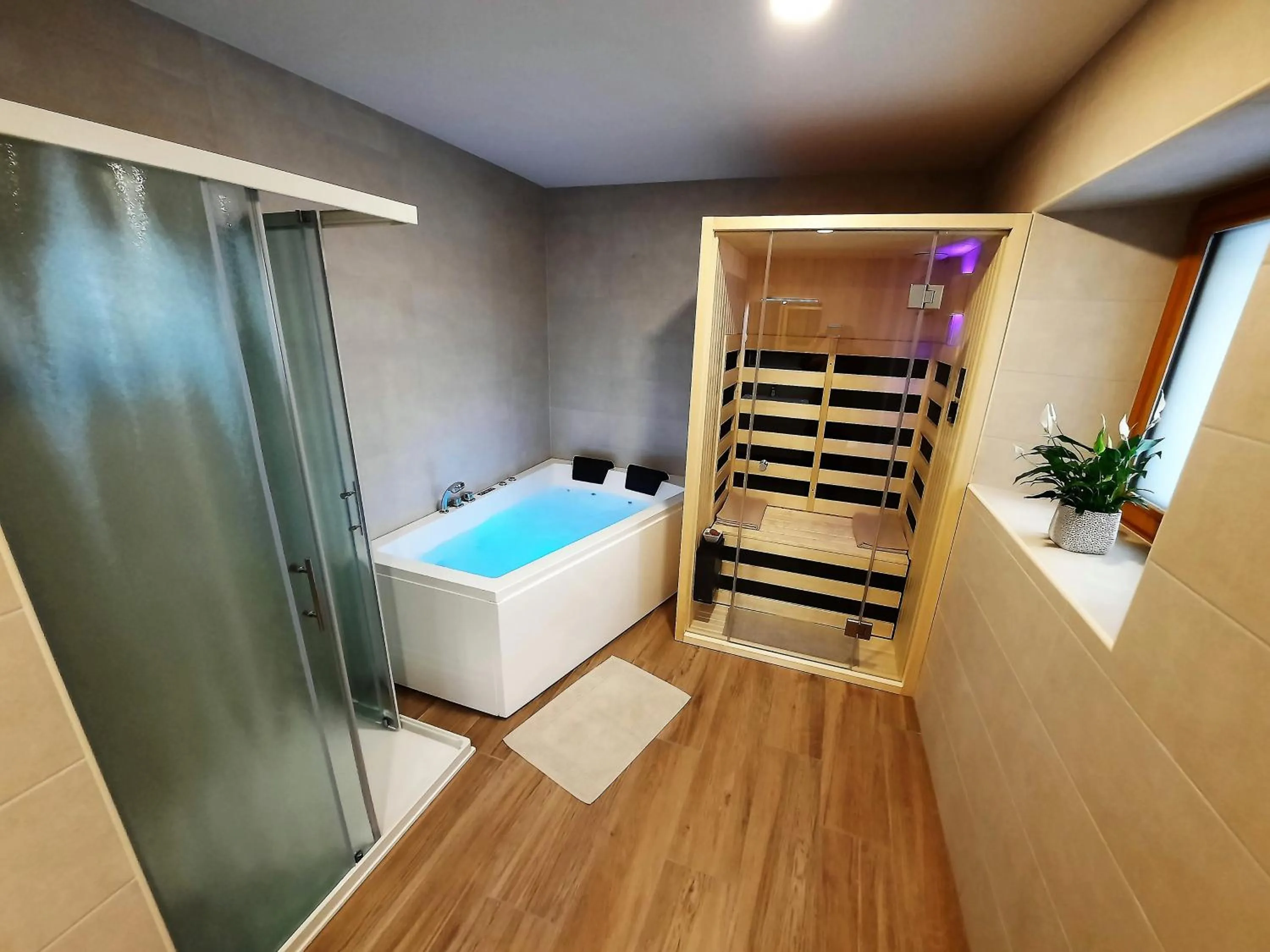 Spa and wellness centre/facilities in Apartments Hlapi with SPA