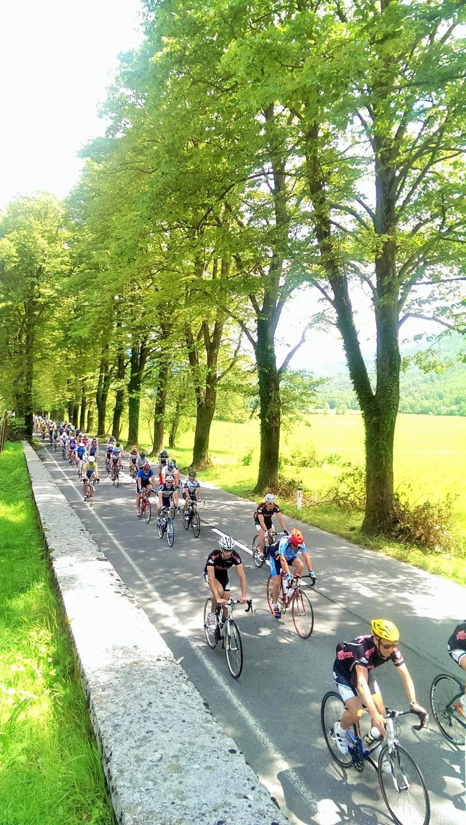 Cycling in Apartments Hlapi with SPA