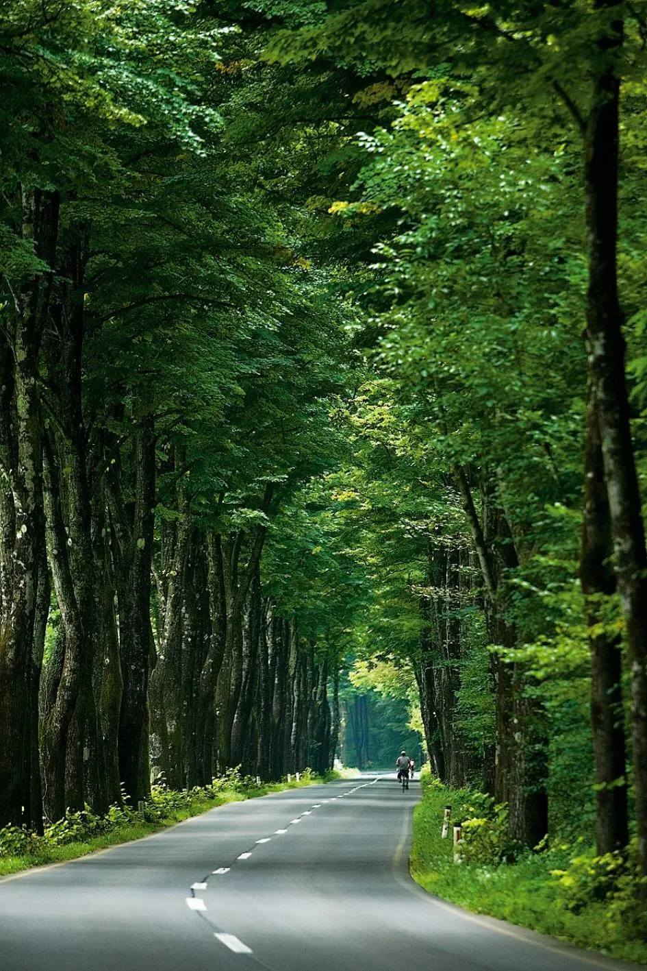 Nearby landmark in Apartments Hlapi with SPA