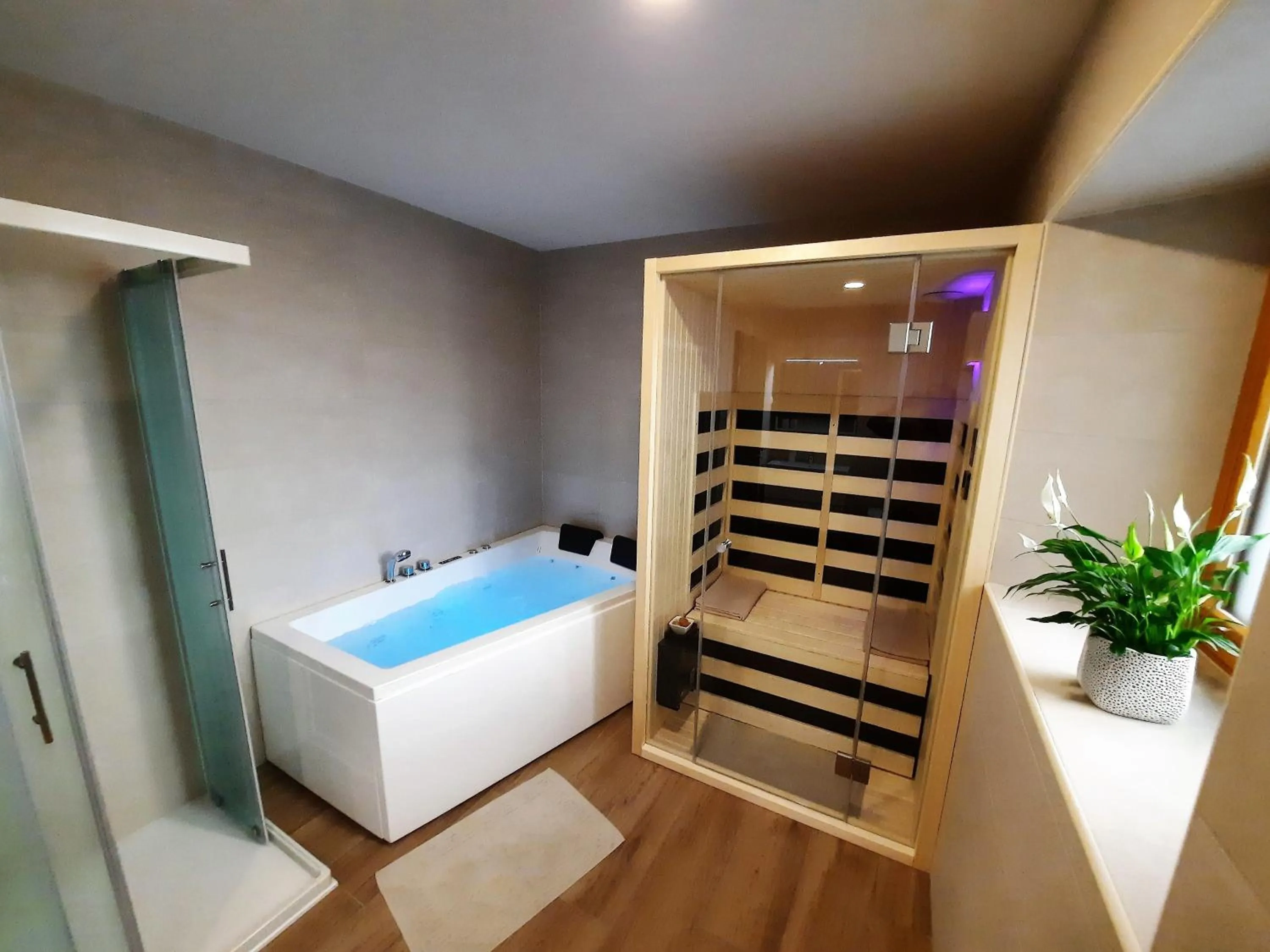 Spa and wellness centre/facilities in Apartments Hlapi with SPA