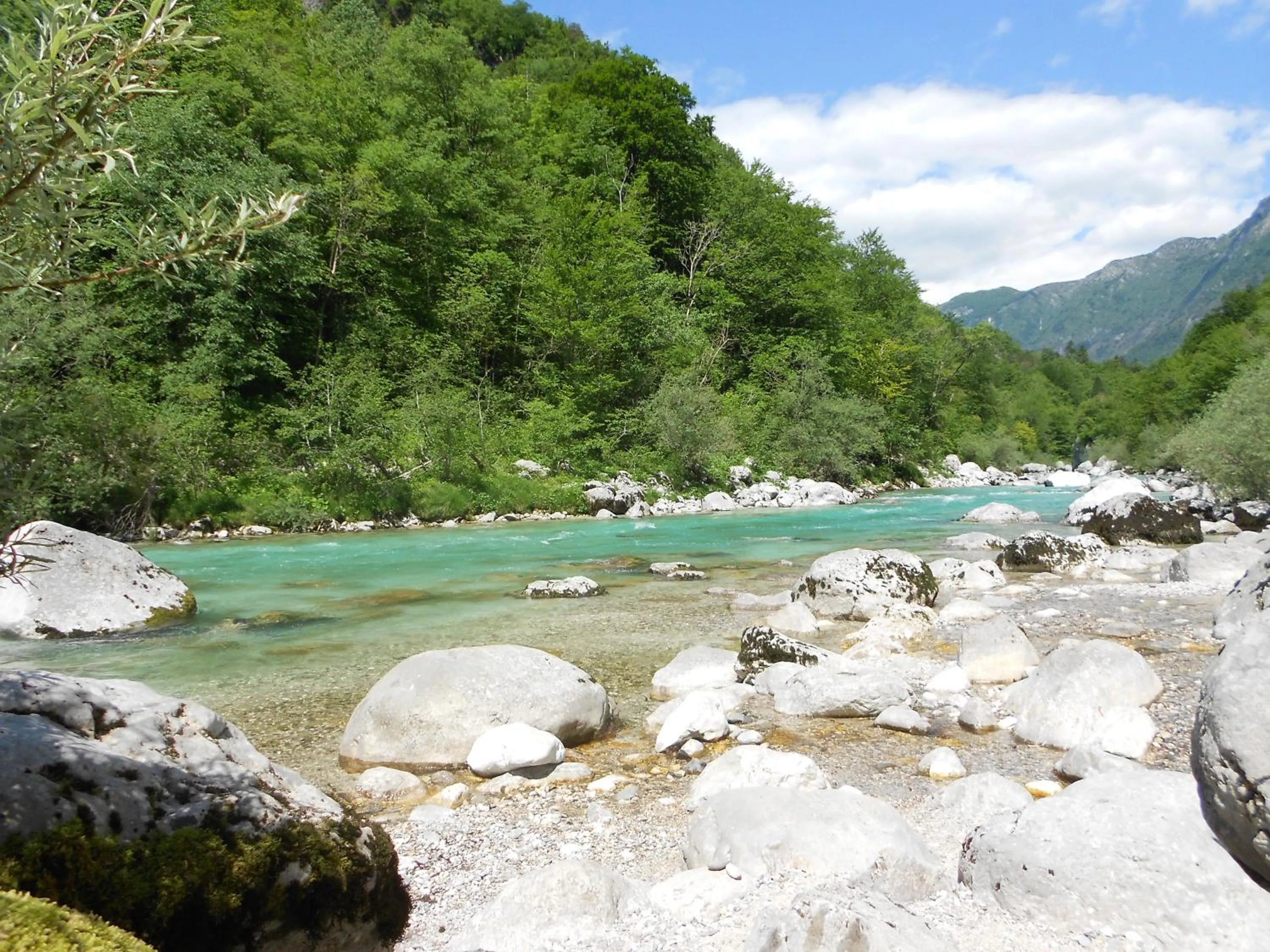 Activities in Apartments Hlapi with SPA