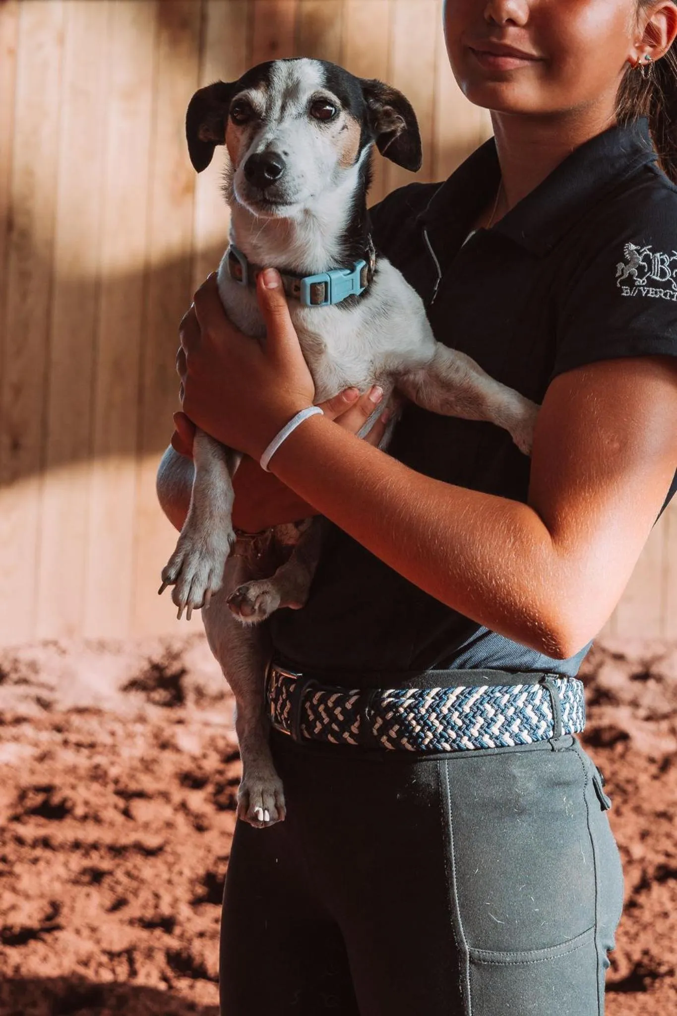 Pets in Lusitano Garden Villas