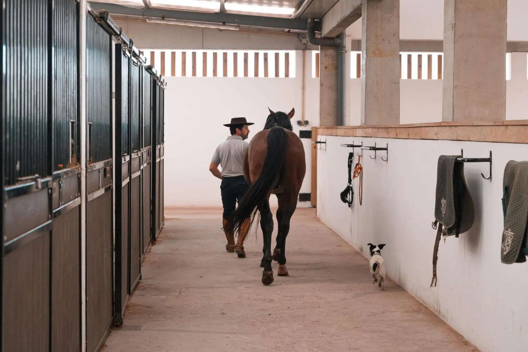 Horse-riding in Lusitano Garden Villas