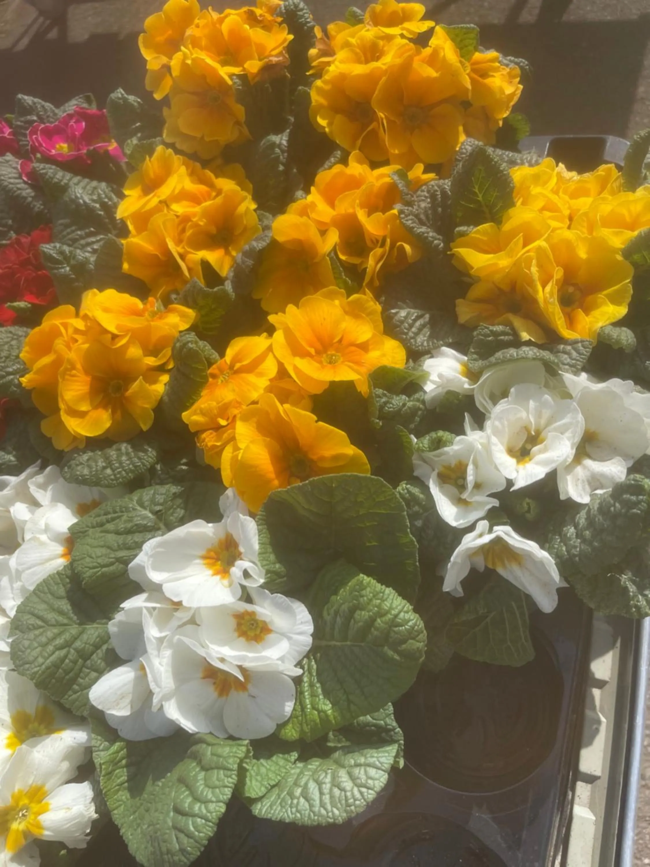 La Villa Haute Corniche