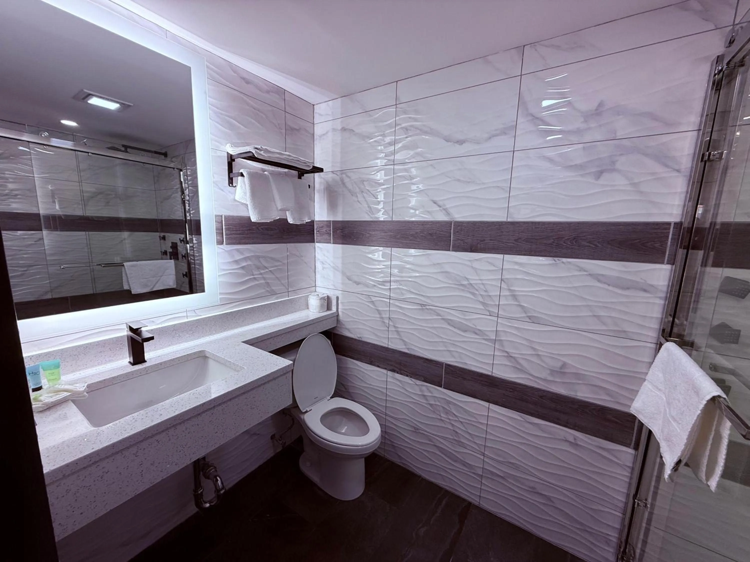 Toilet in The Vine Hotel Bronx New