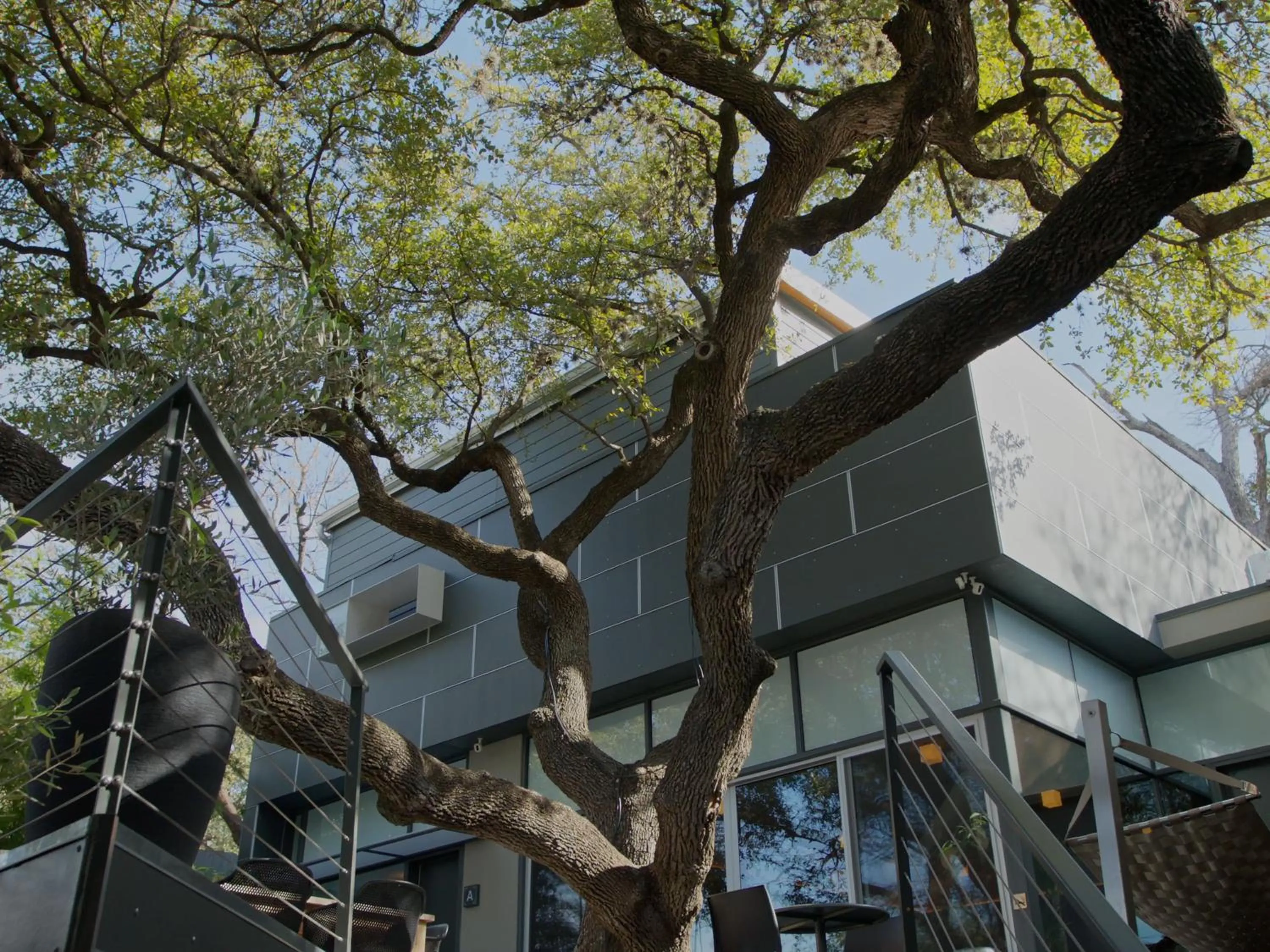 Property building in Frame Hotel - Treehouse