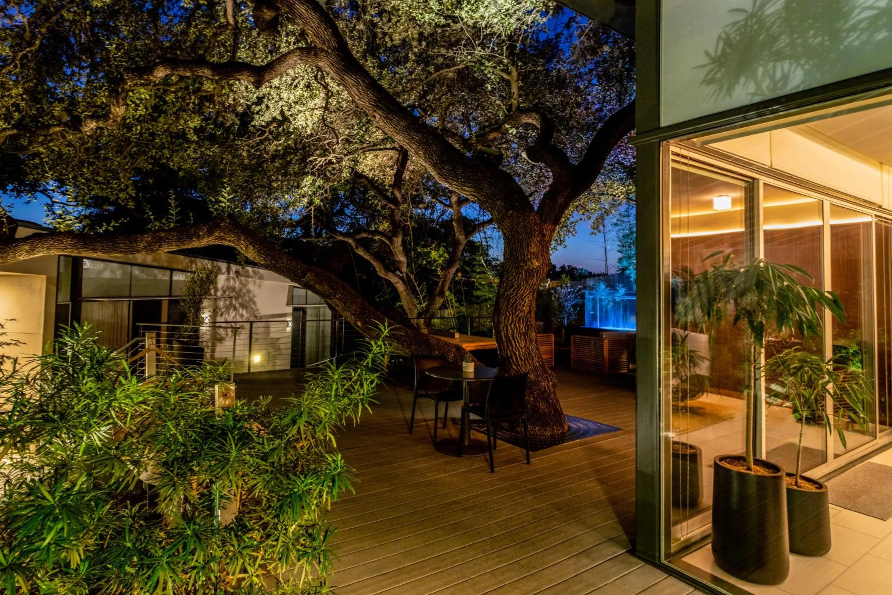 Patio in Frame Hotel - Treehouse