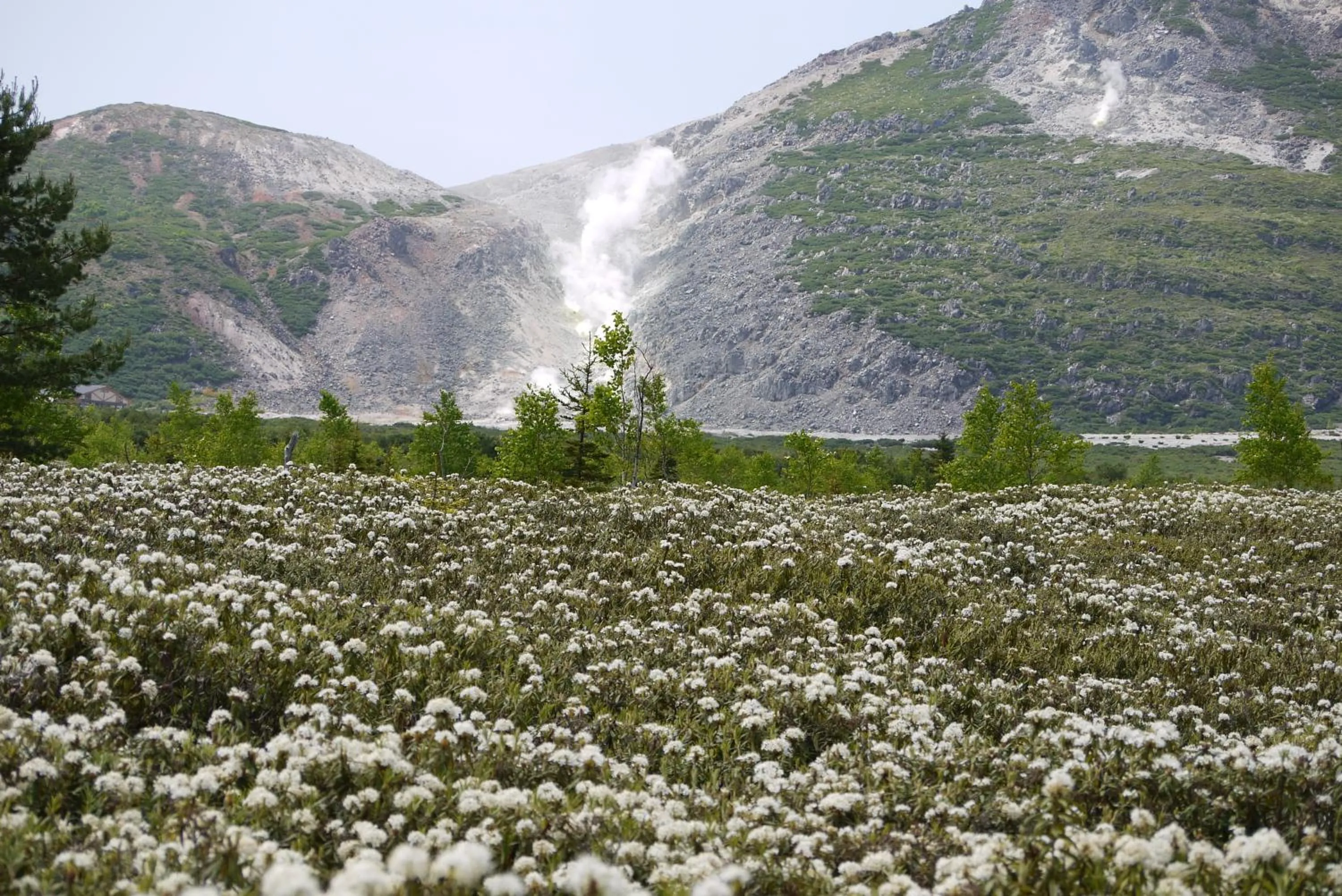 Nearby landmark in KKR Kawayu