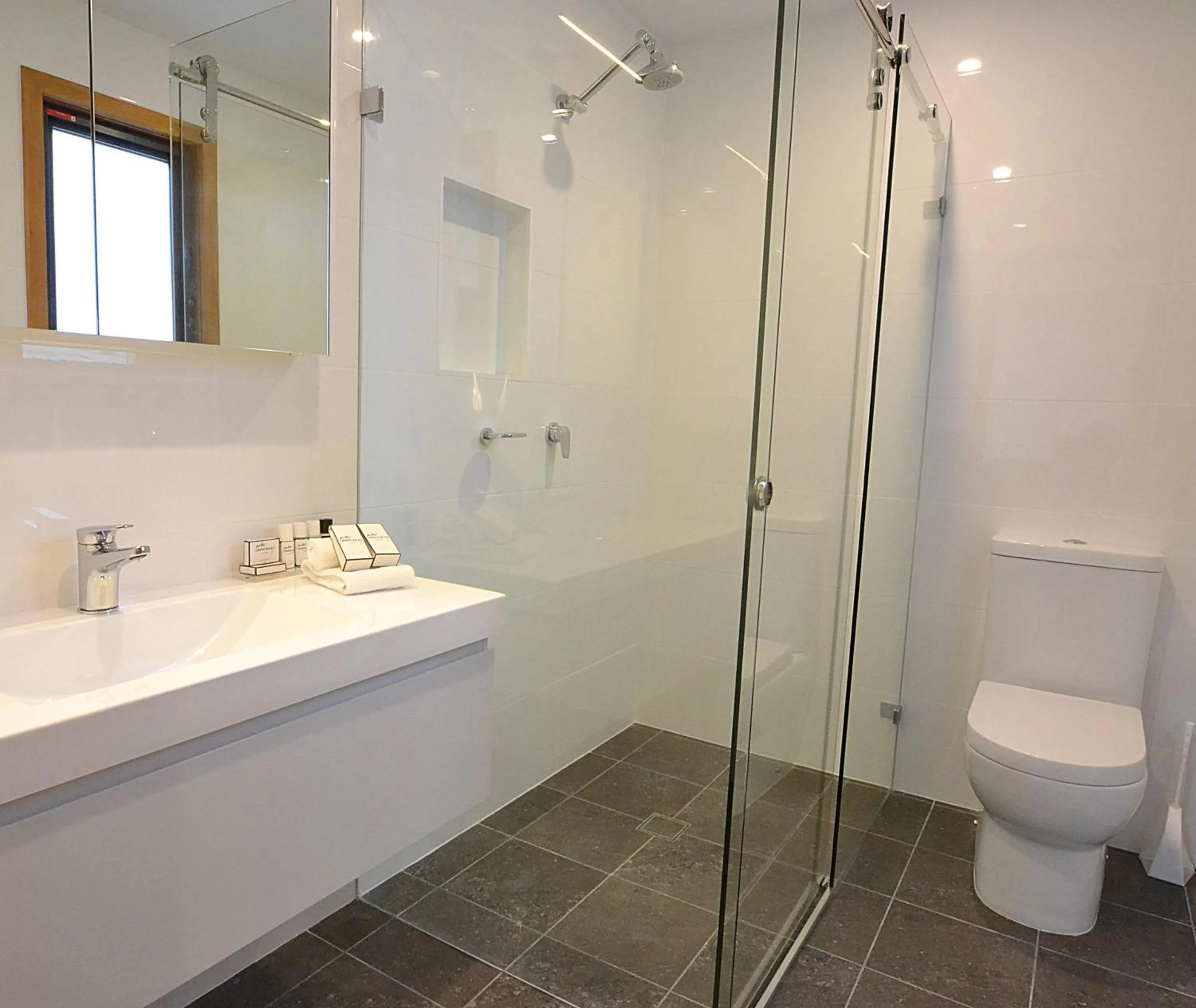 Toilet in Oaks Lake Crackenback Resort