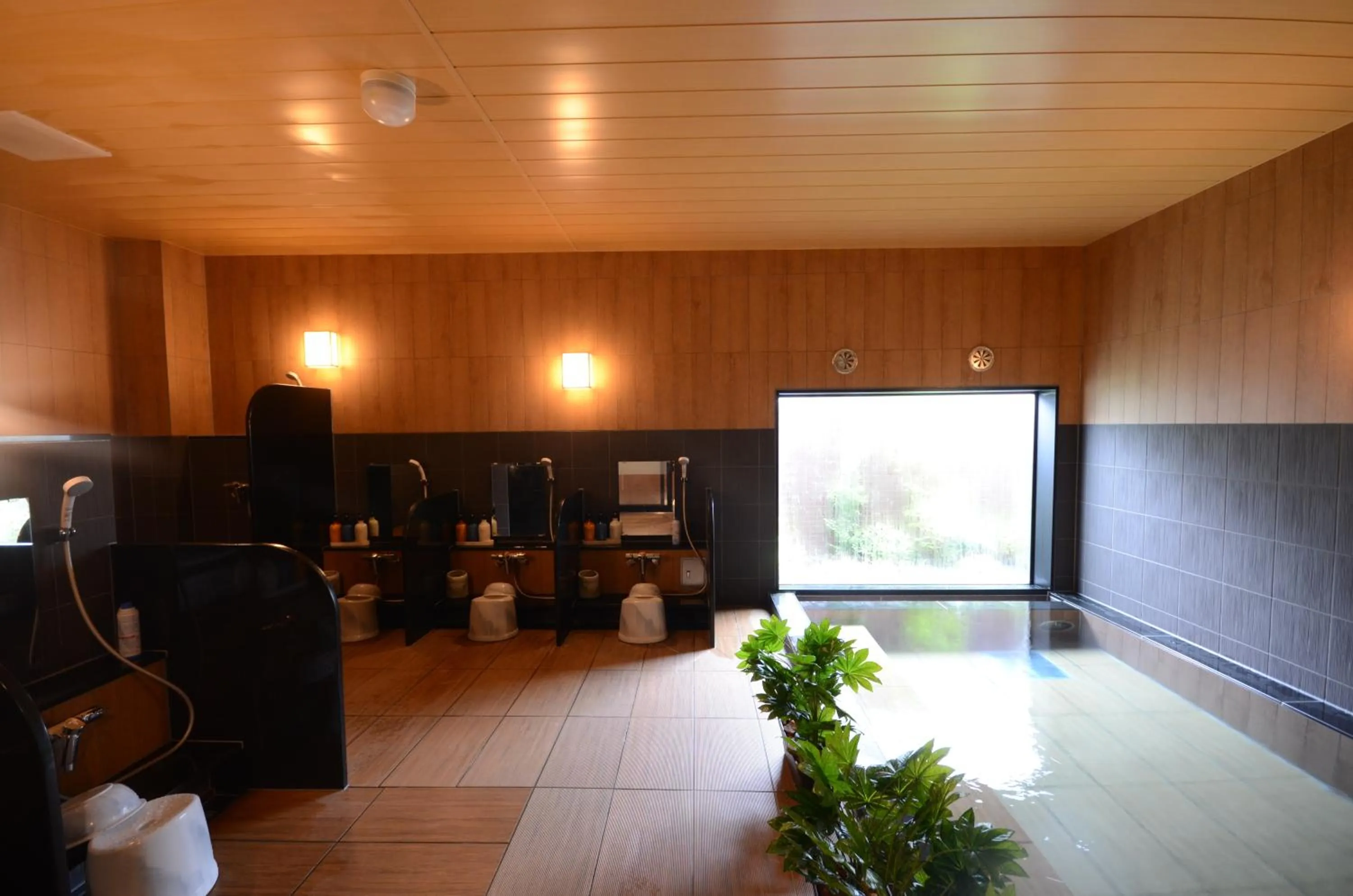 Public Bath in Hotel Route Inn Annaka