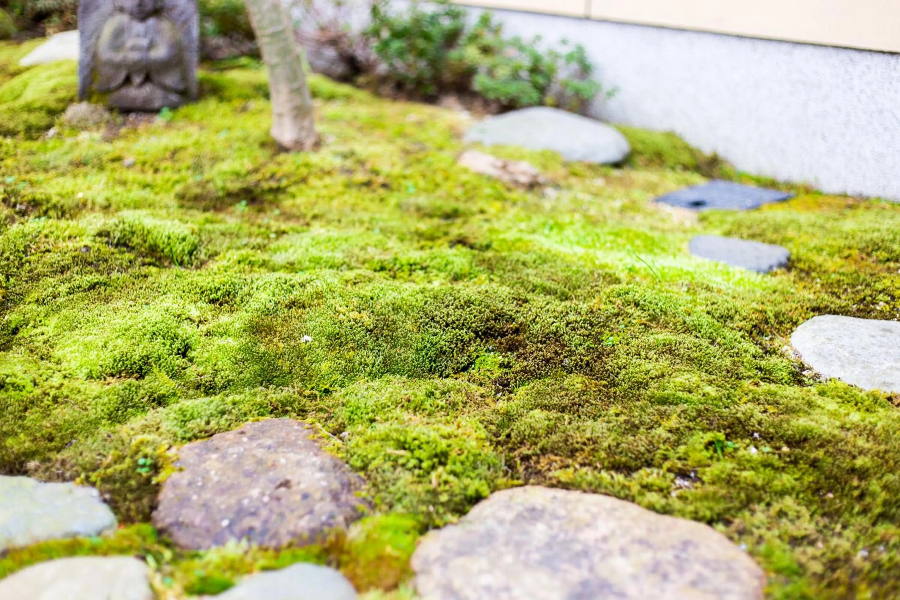 Garden in Kyo no Yado Sangen Ninenzaka