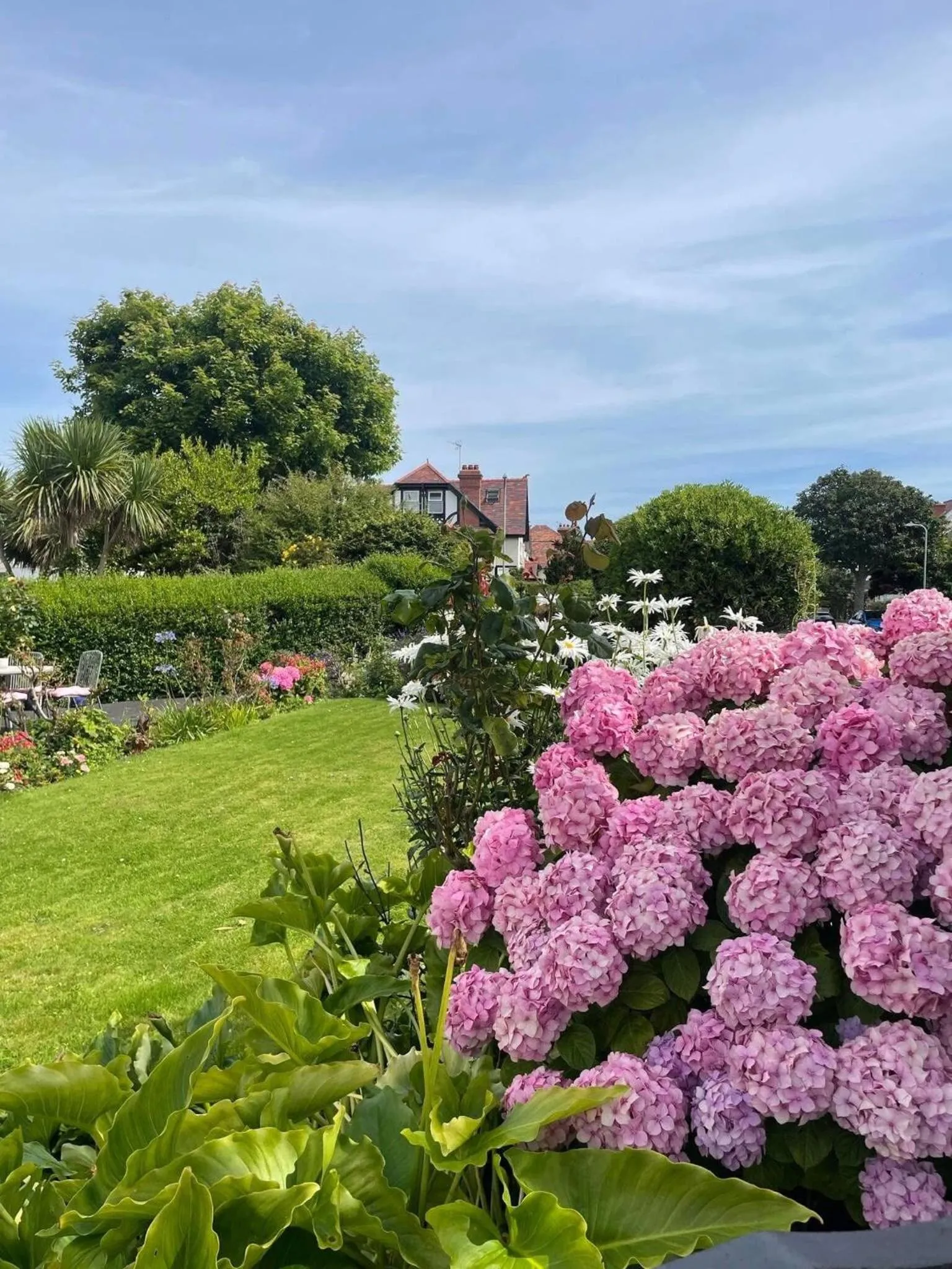 Garden in Rosaire Guest House