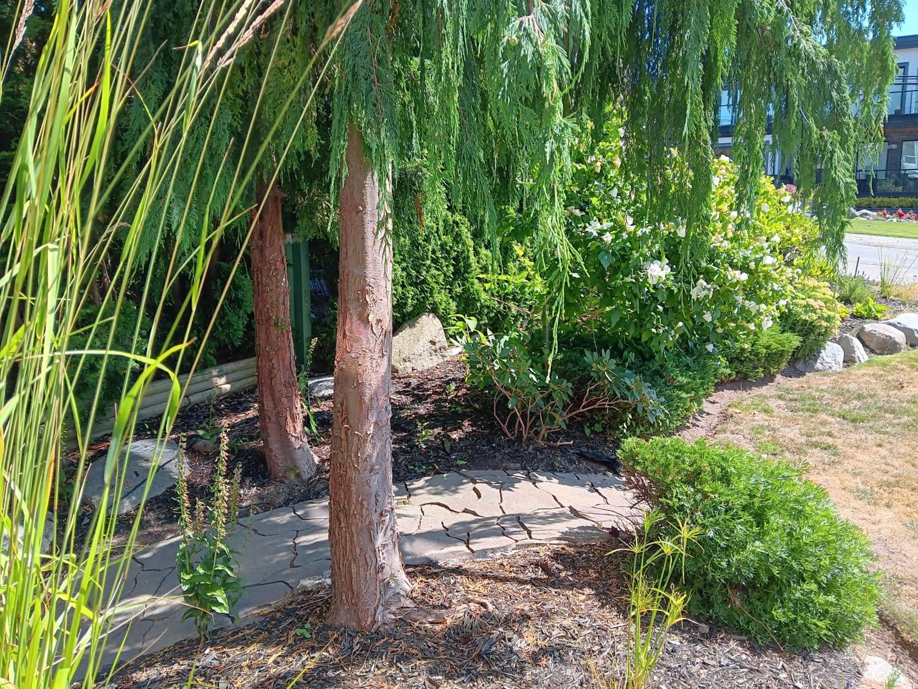 Garden view in Sand and Salt Bed & Breakfast