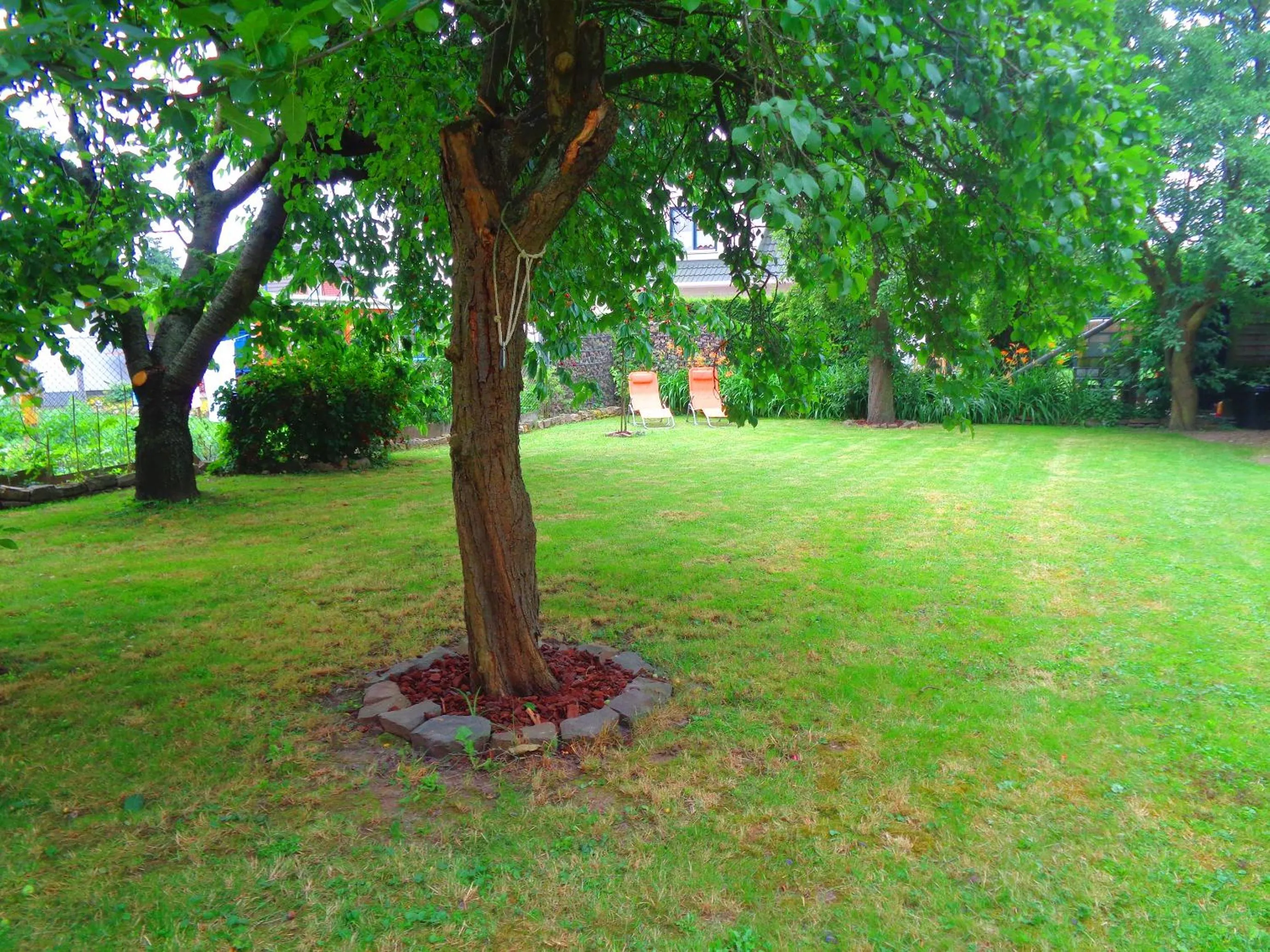 Garden in Hotel Apartment Puell