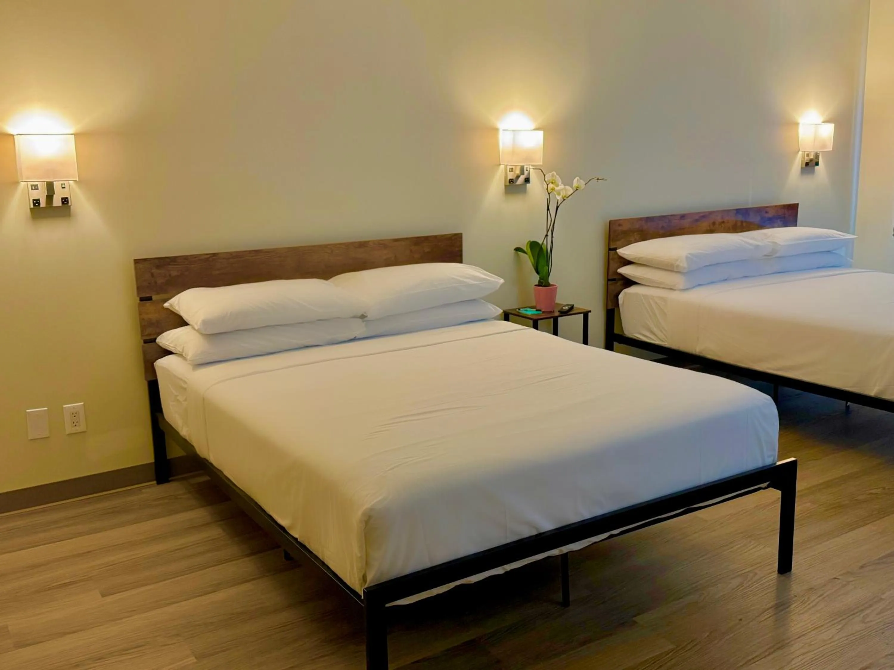 Bed in Nova Hotel JFK