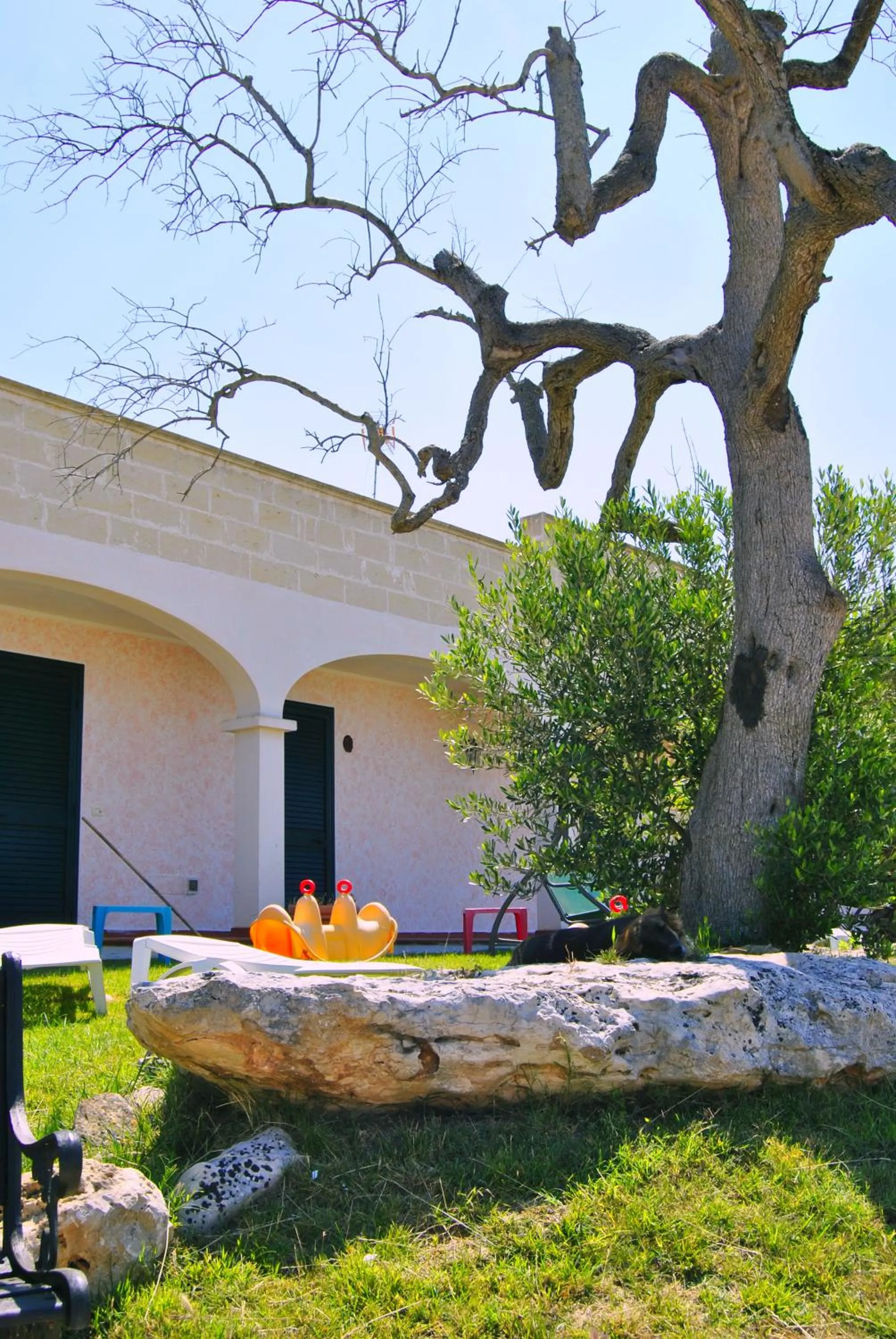 Garden in Agriturismo La Lucia
