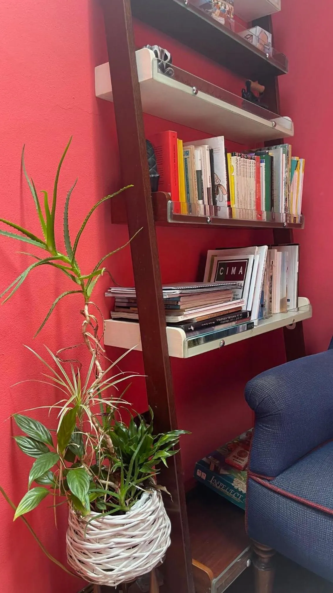 Library in La Posada del Rey