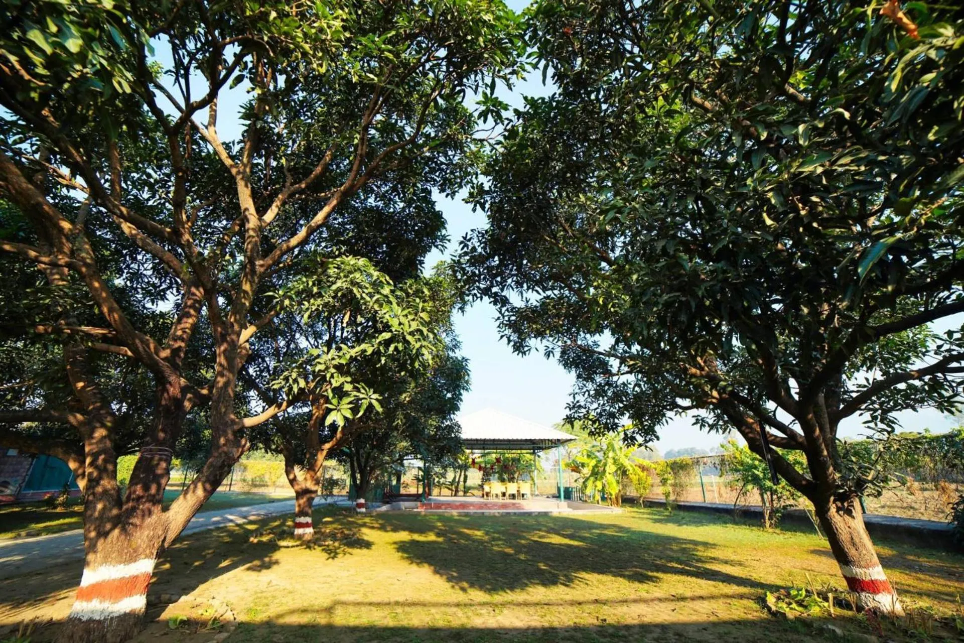 Spring in Sukoon - A Wellness Resort and Spa