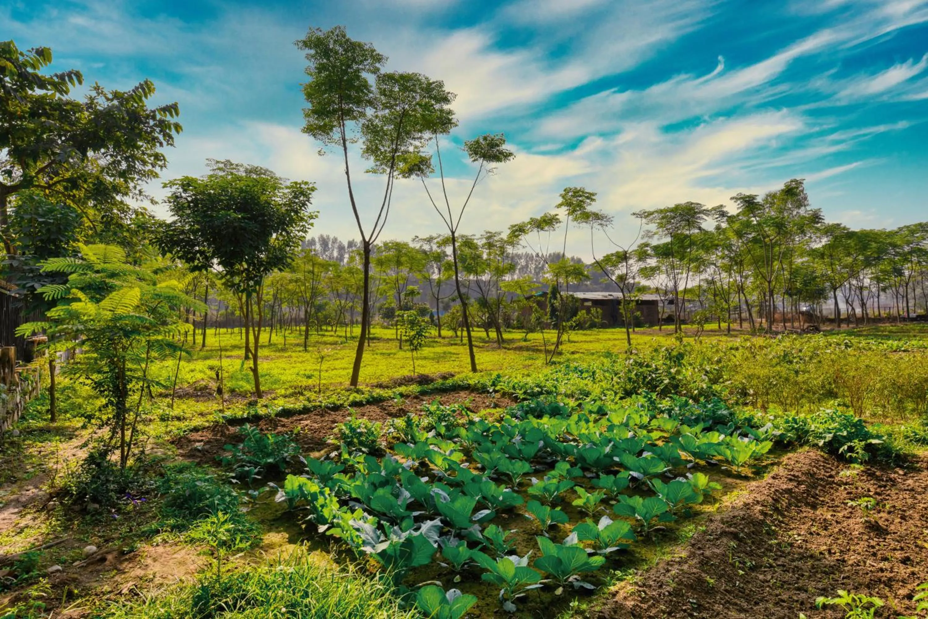 Sukoon - A Wellness Resort and Spa