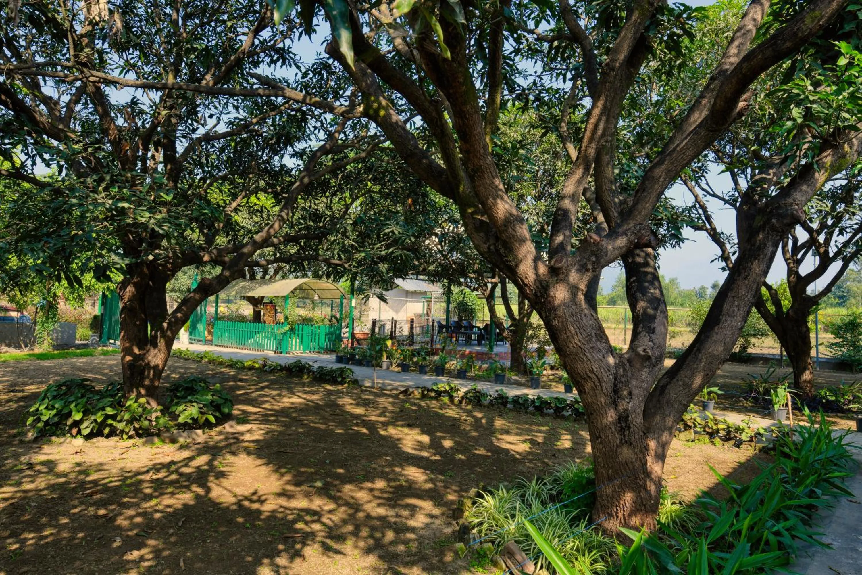 Sukoon - A Wellness Resort and Spa