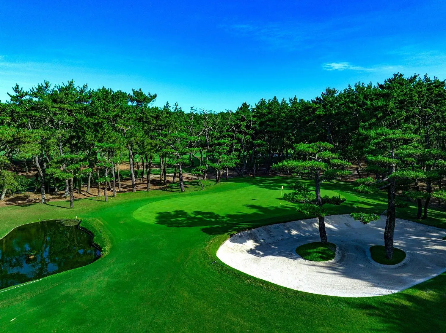 Golfcourse in Seagaia Forest Condominiums