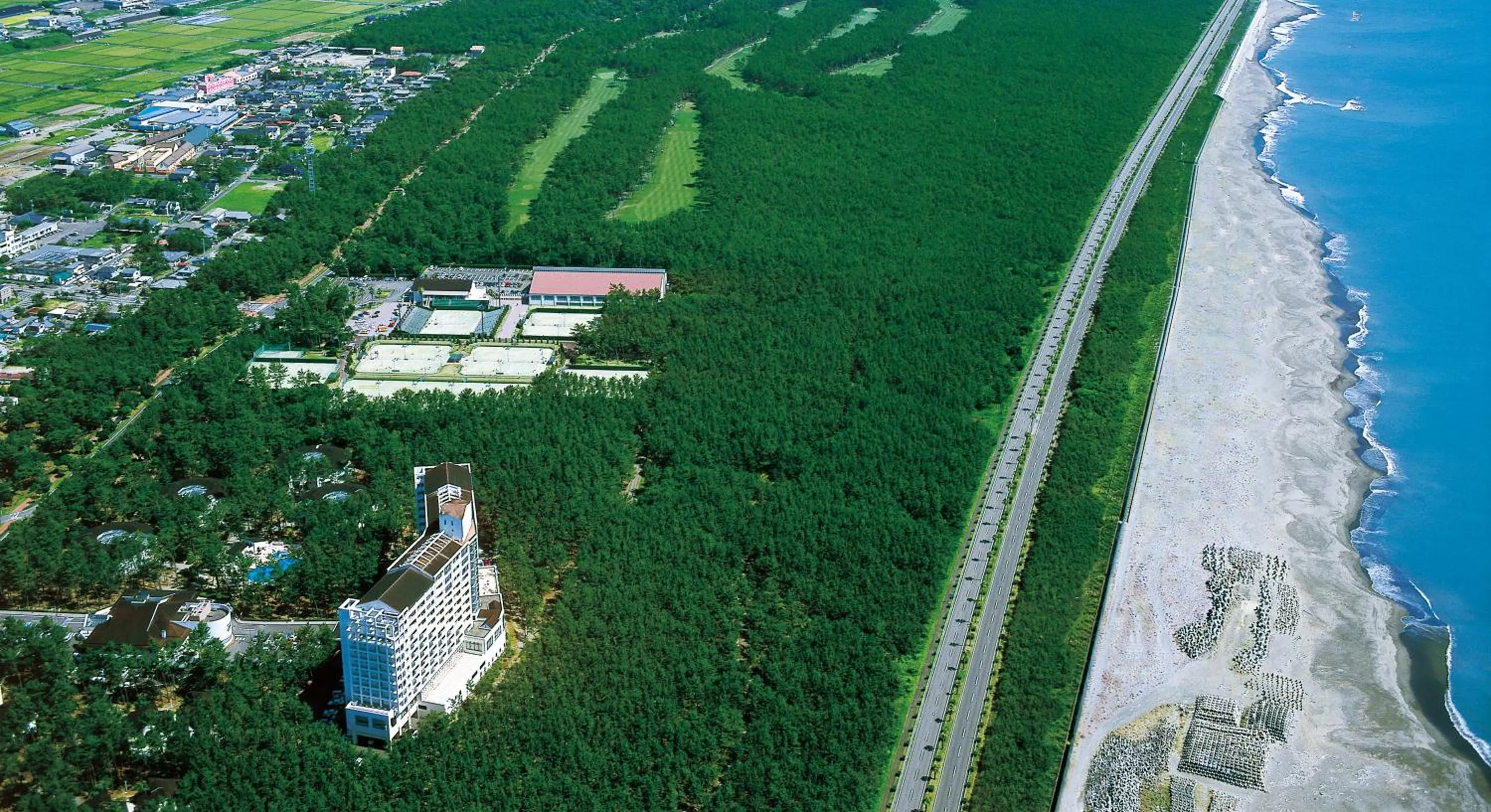 Bird's eye view in Seagaia Forest Condominiums