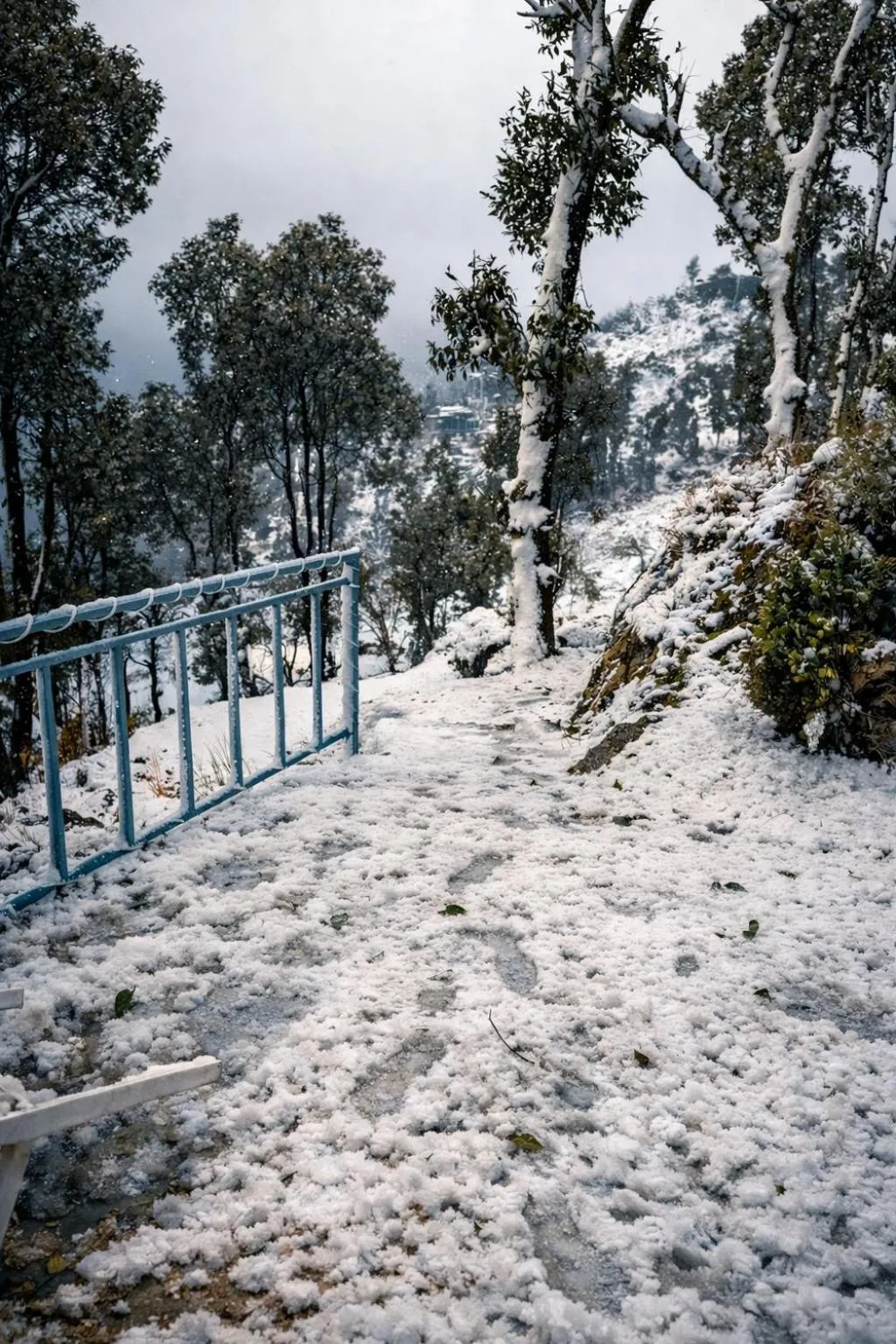 Natural landscape in Echoes of the Himalayas