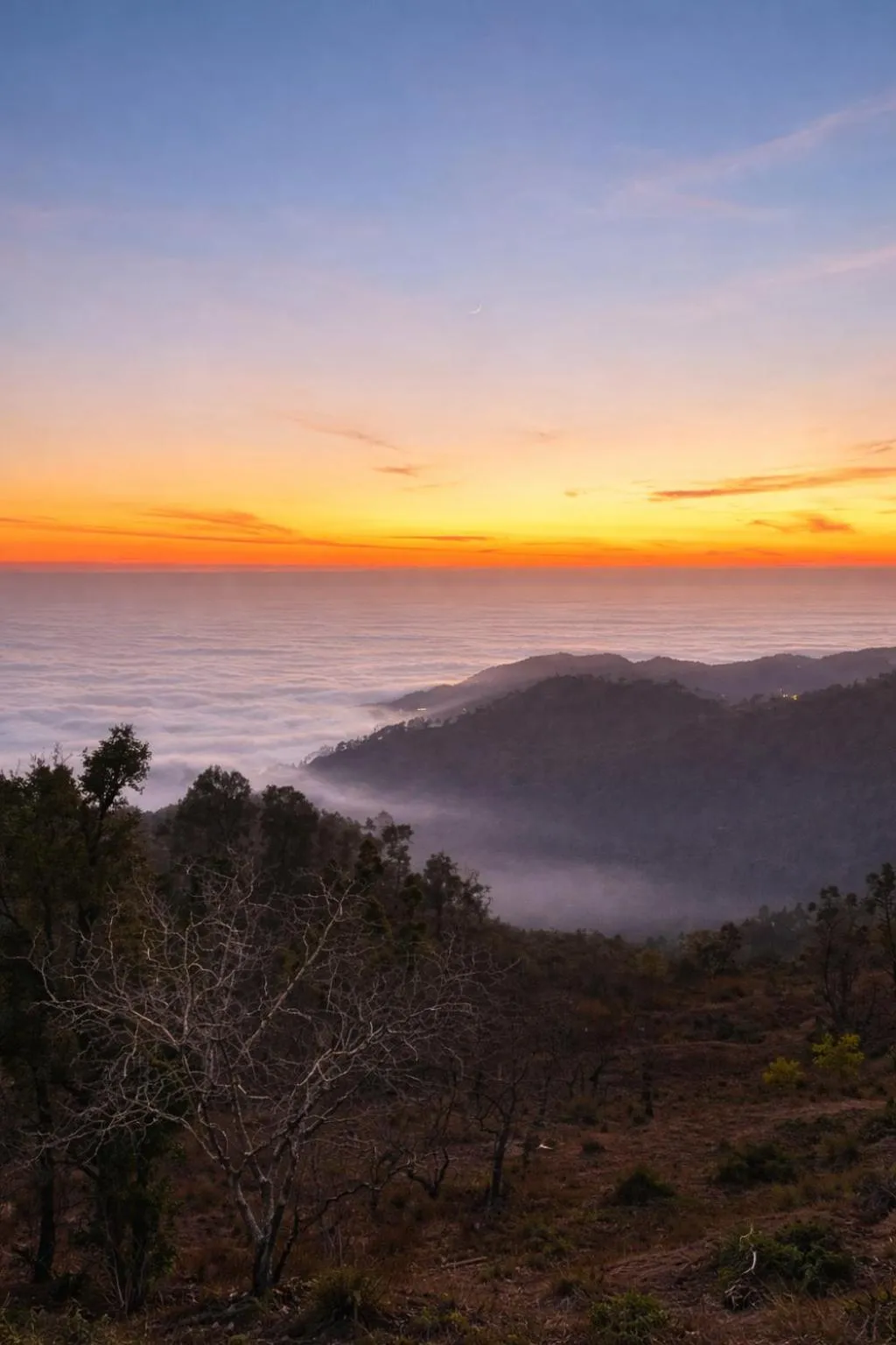 View (from property/room) in Echoes of the Himalayas