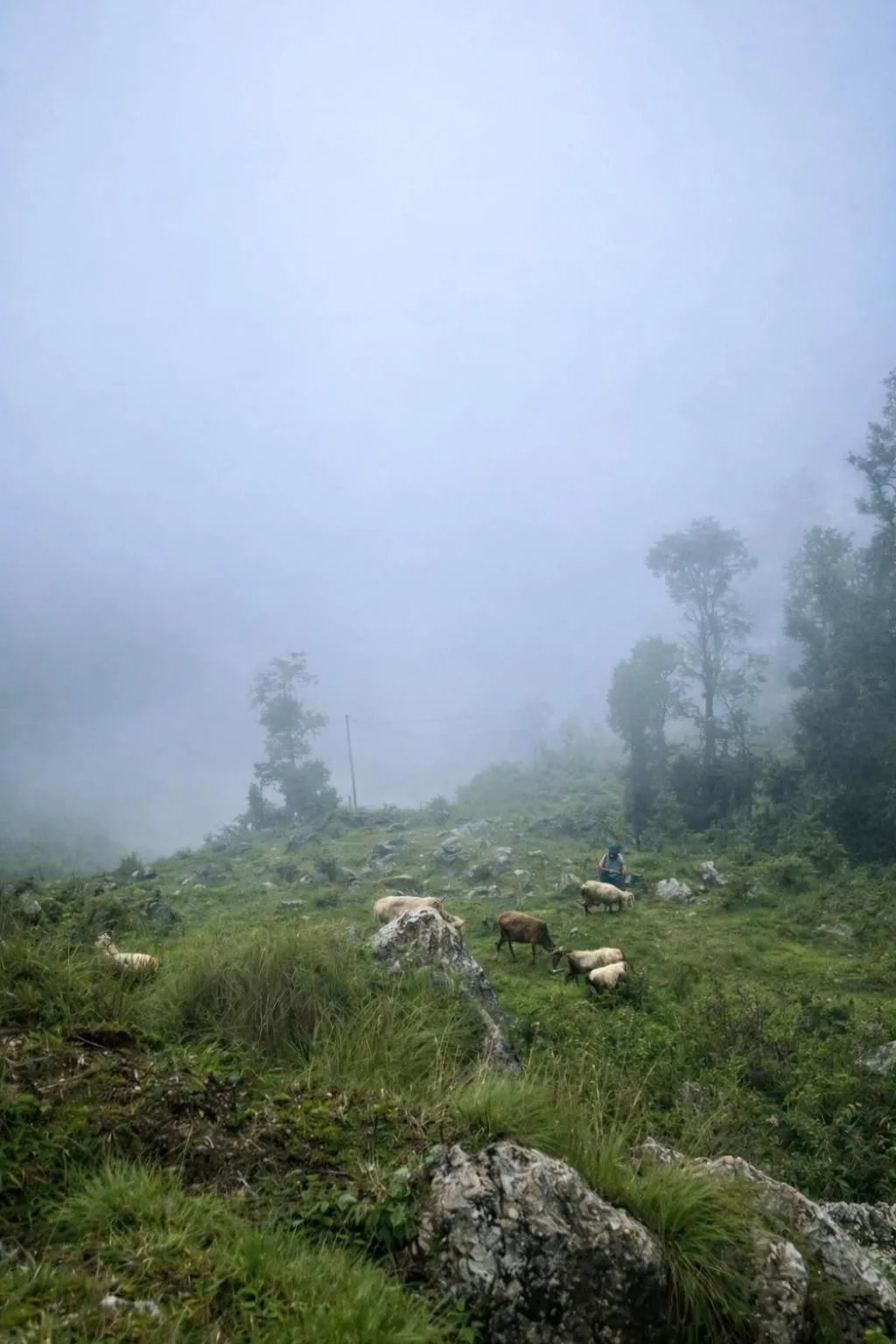 Natural landscape in Echoes of the Himalayas