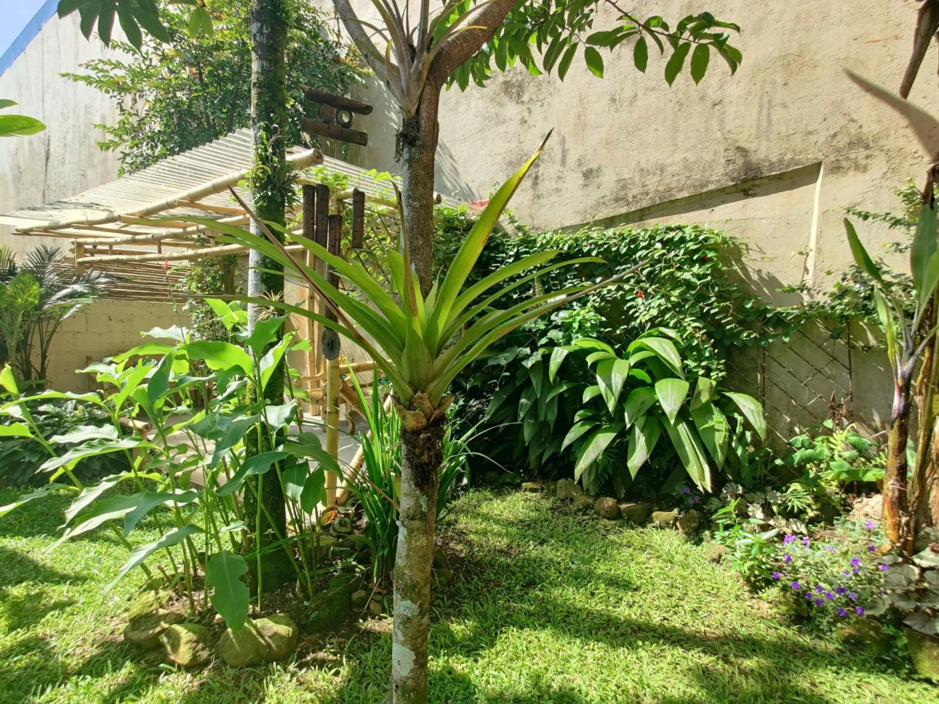 Garden view in Boutique Hotel Casa de Lis, Turrialba