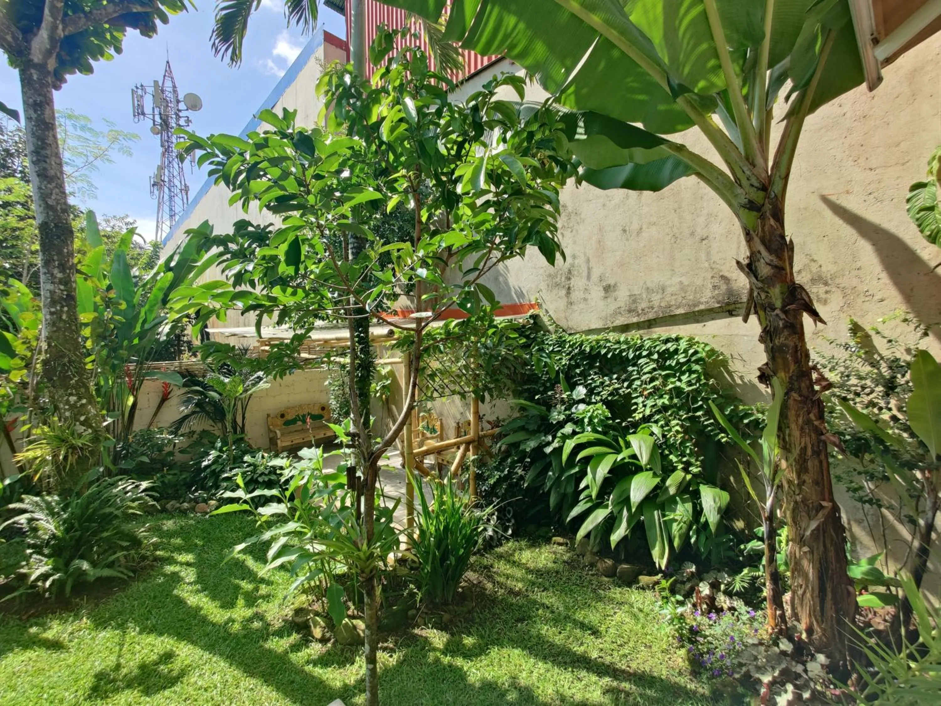Garden in Boutique Hotel Casa de Lis, Turrialba