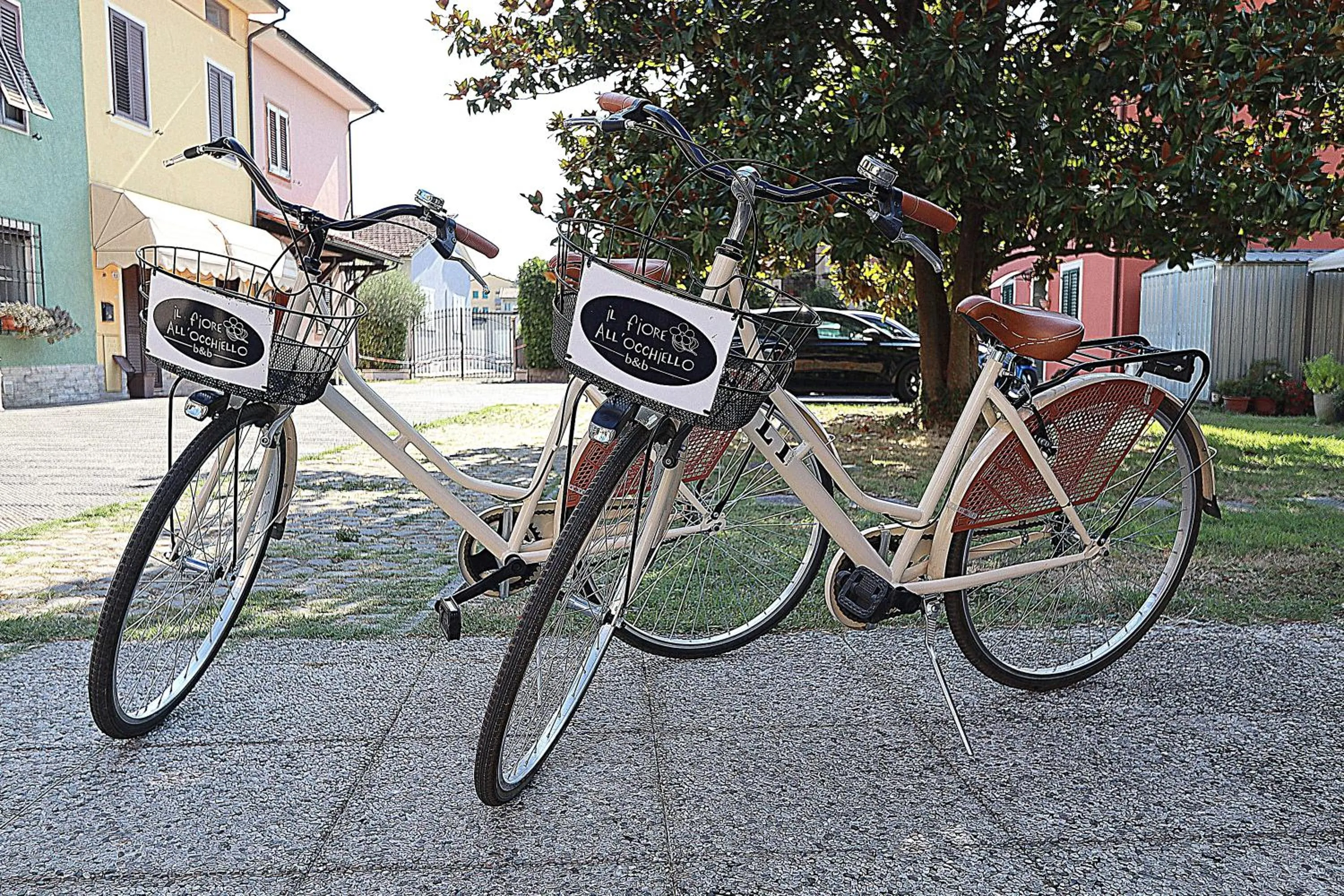 Activities in Il Fiore all'Occhiello