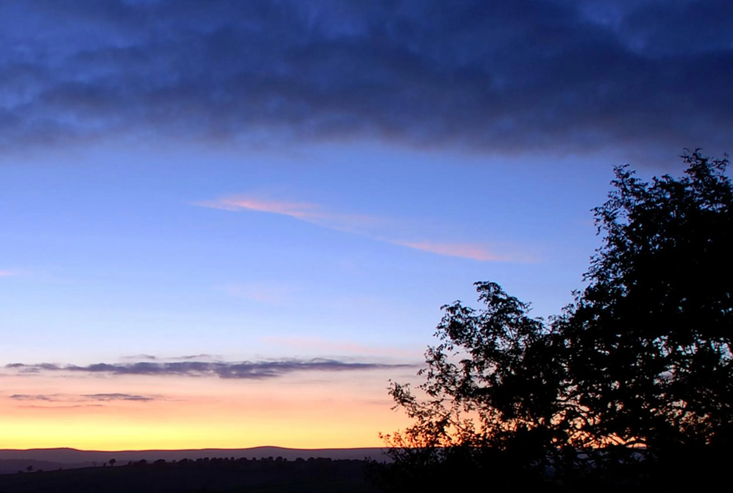 View (from property/room) in Kerswell Farmhouse