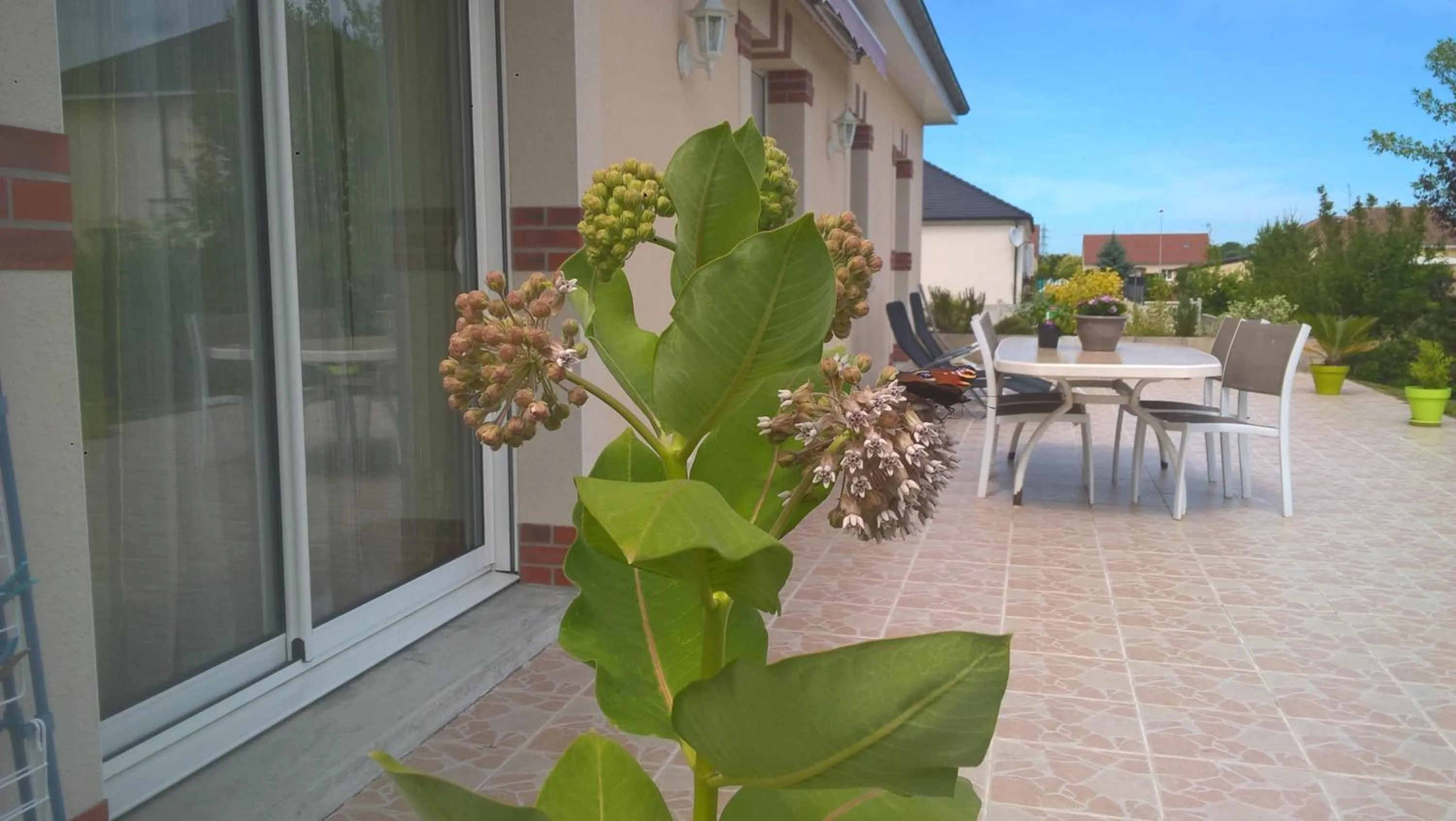 Balcony/Terrace in L'Escapade