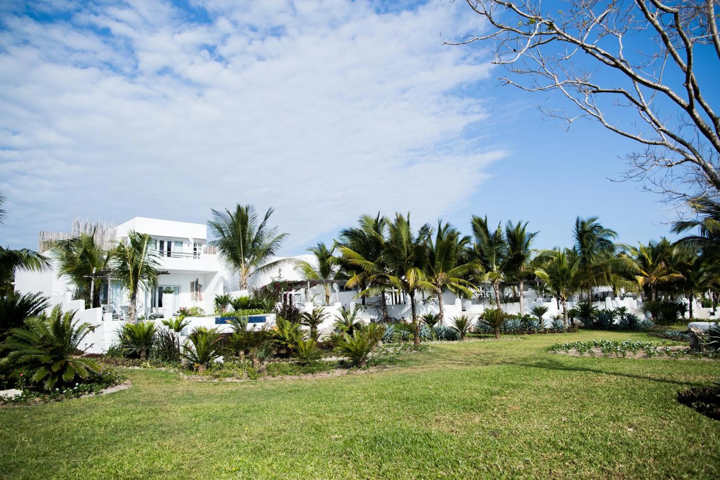 Garden in The Aiyana Resort & Spa