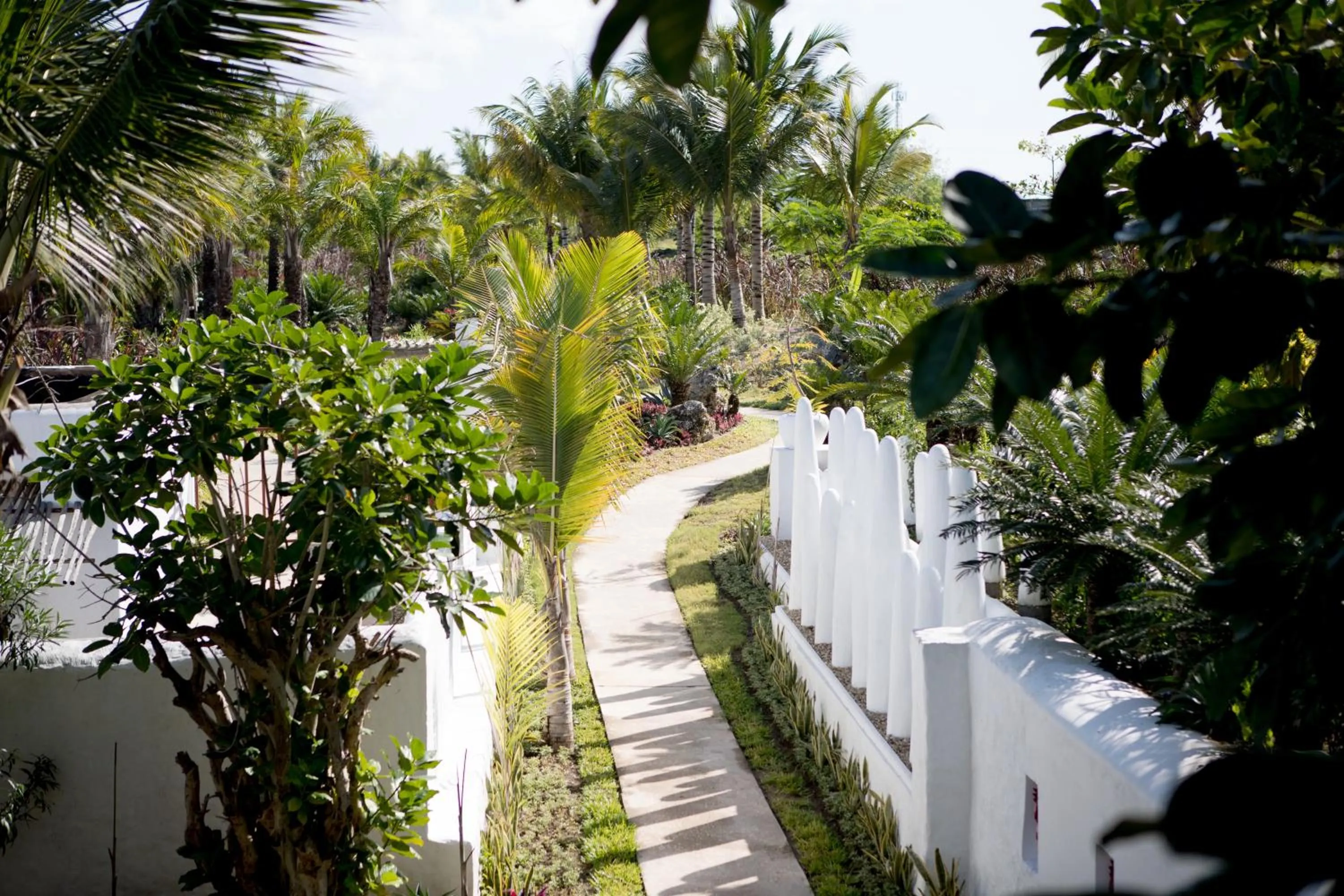 Garden in The Aiyana Resort & Spa