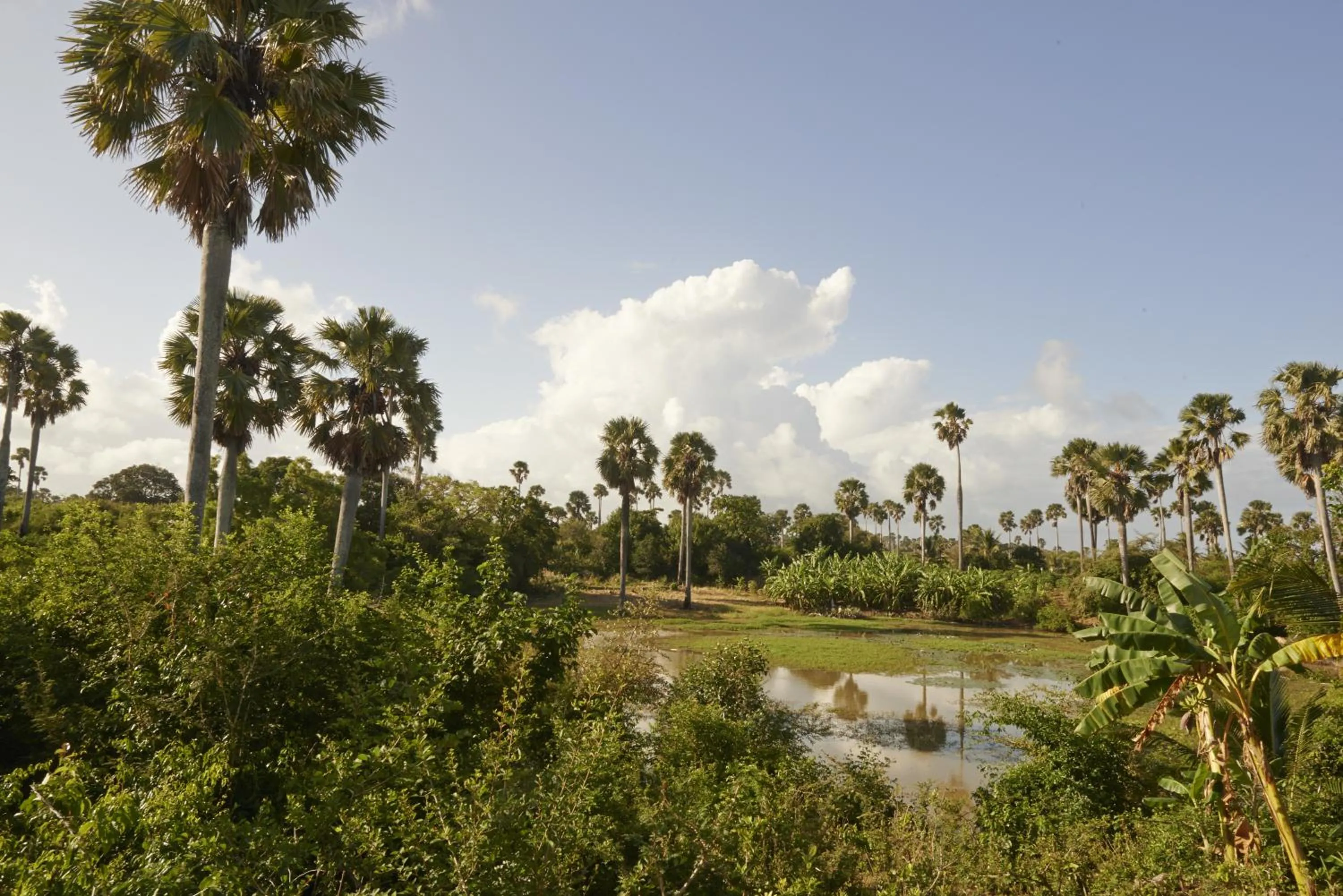 Garden in The Aiyana Resort & Spa