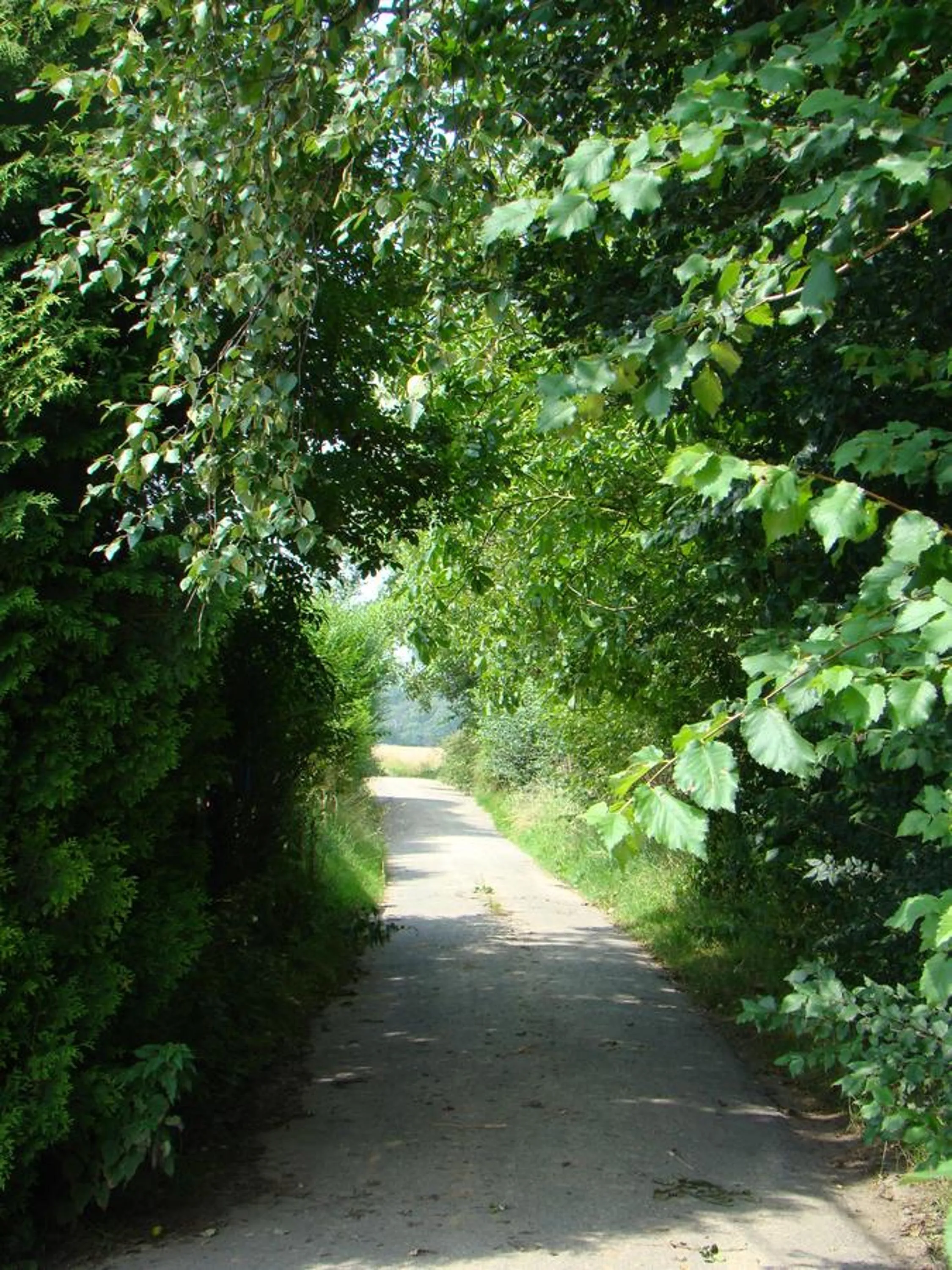 Eeuwenhout vakantiedomein