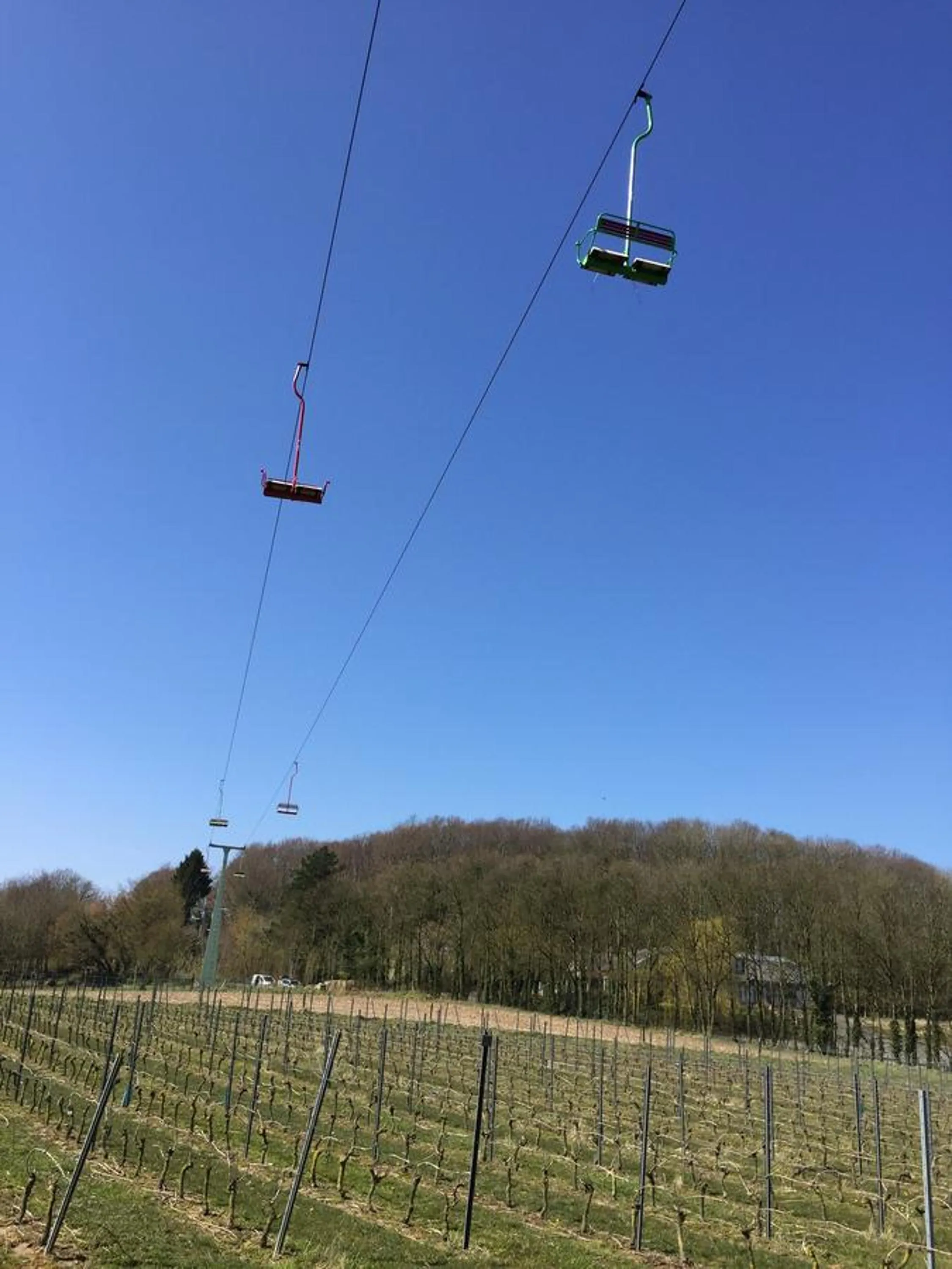 Property building in Eeuwenhout vakantiedomein