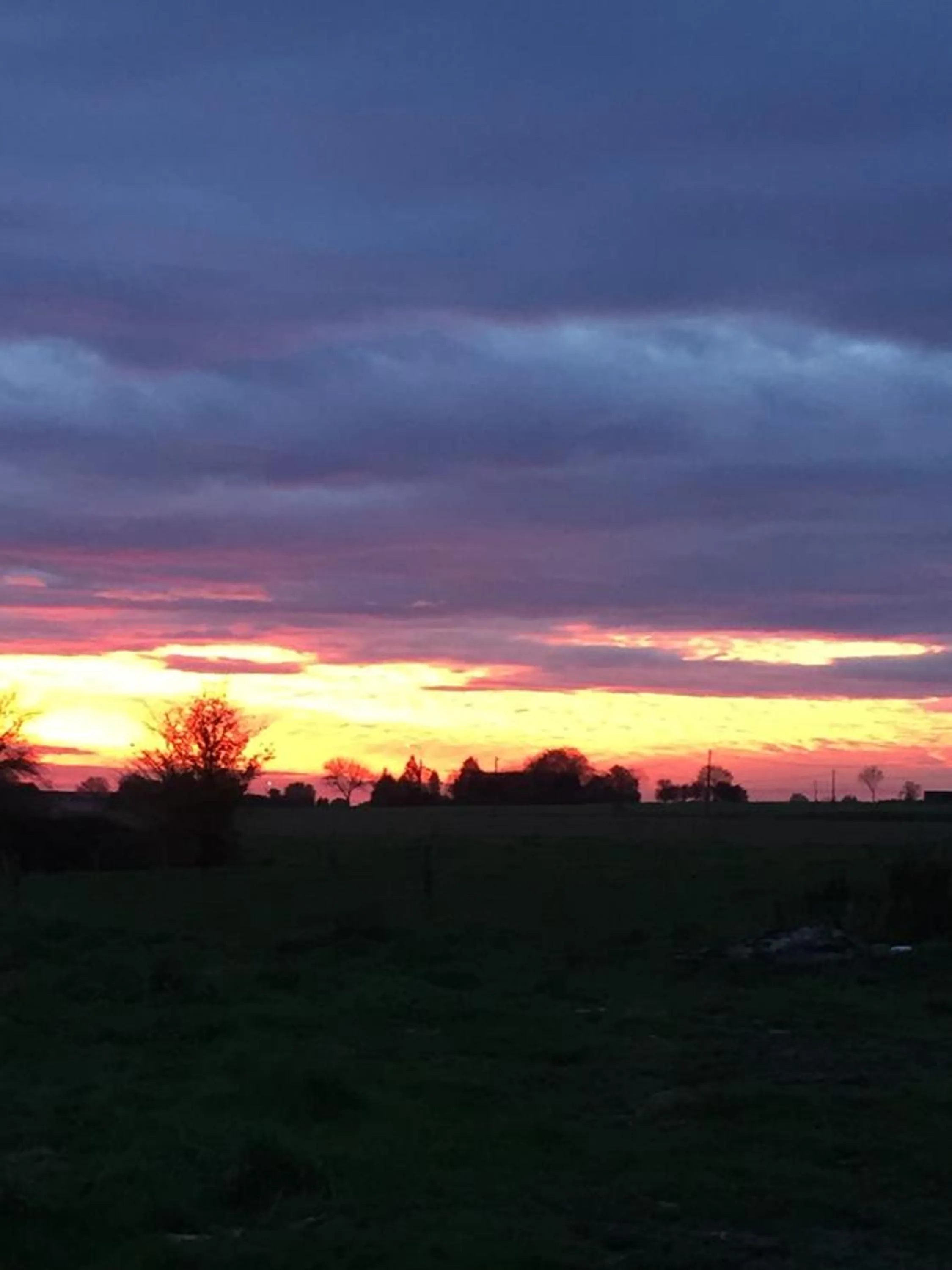 Eeuwenhout vakantiedomein