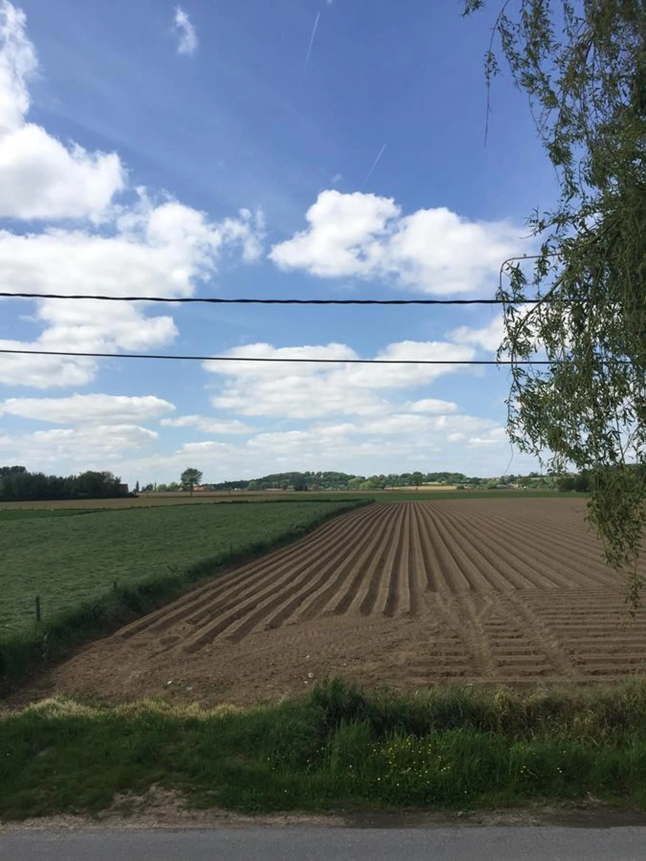 Eeuwenhout vakantiedomein