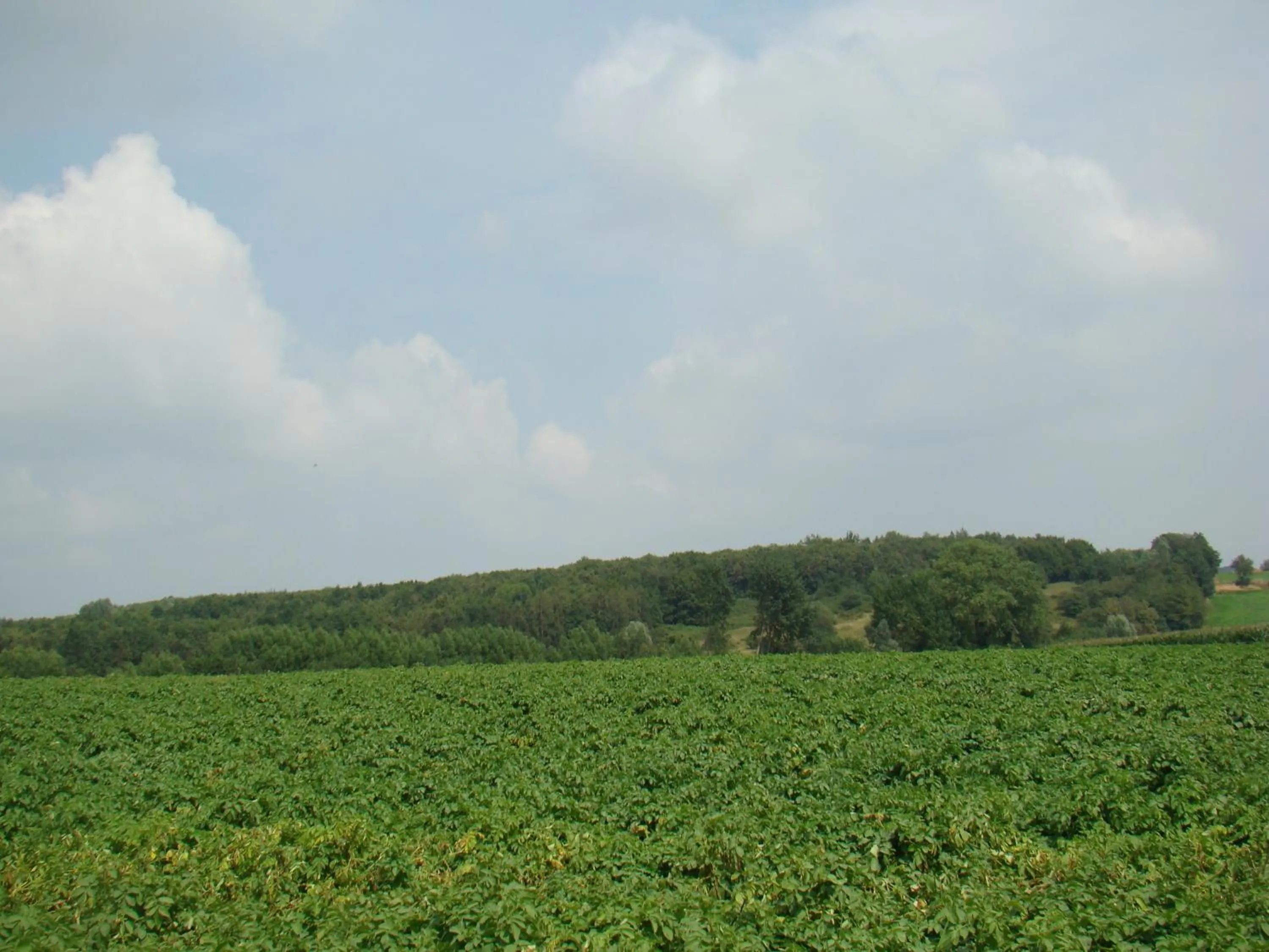 Eeuwenhout vakantiedomein