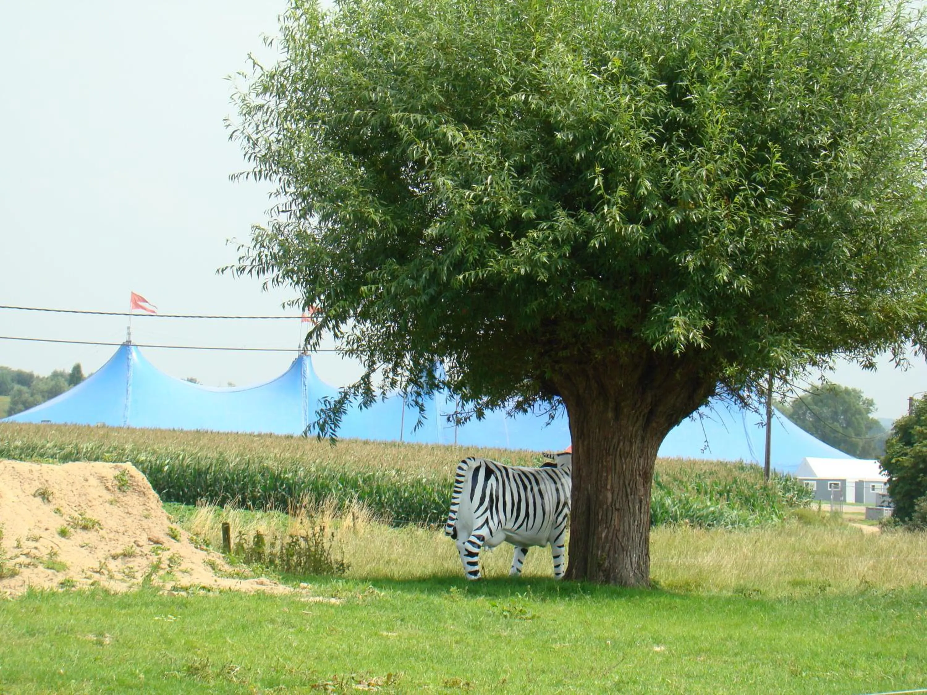 Eeuwenhout vakantiedomein