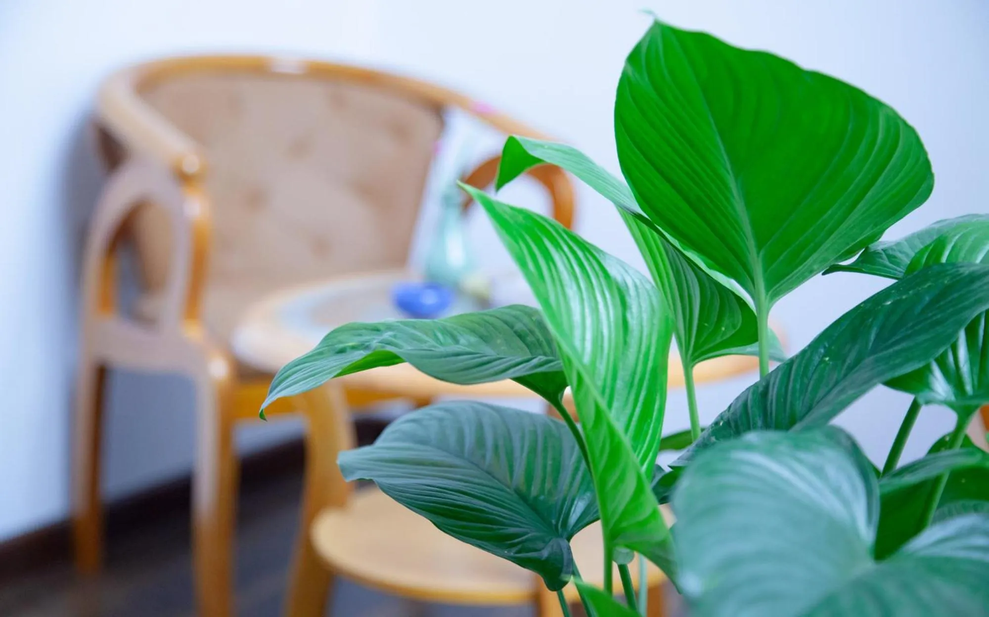 Seating area in Hotel California Zhangjiajie