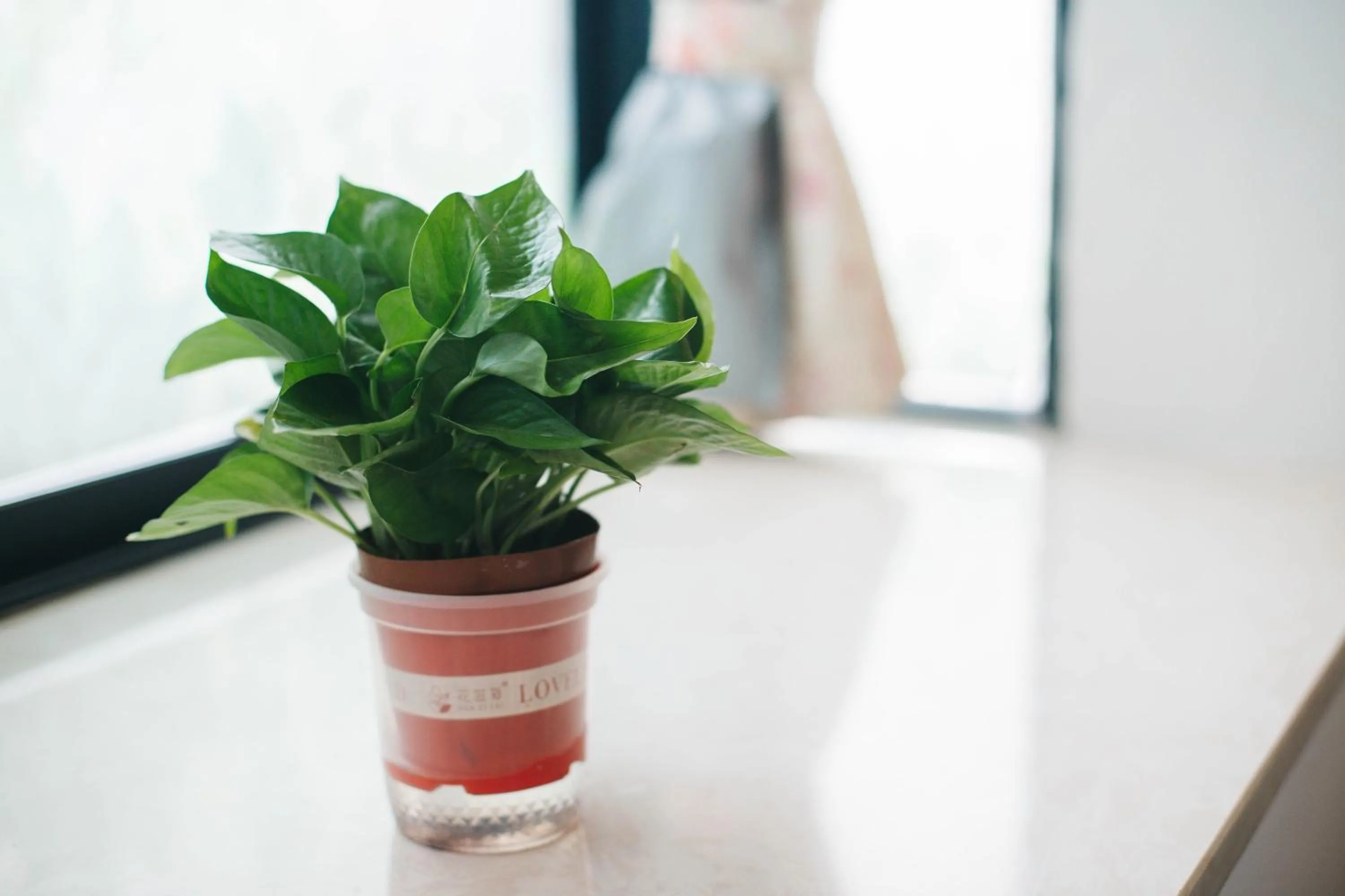 Property building in Hotel California Zhangjiajie