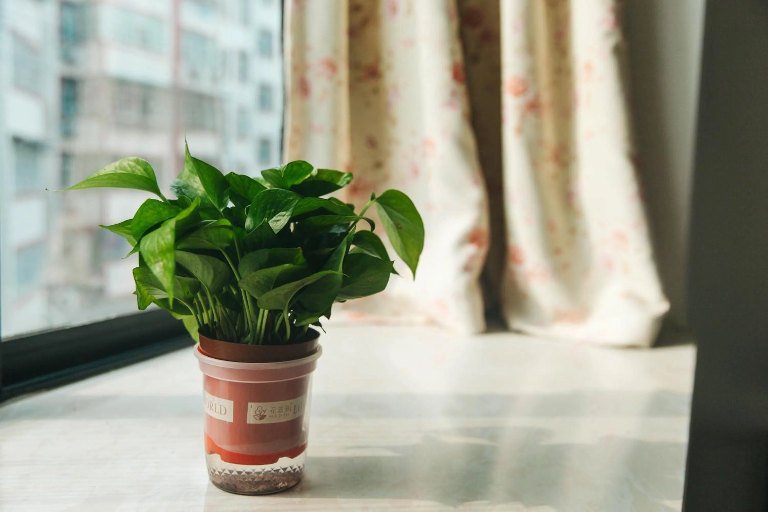 Property building in Hotel California Zhangjiajie