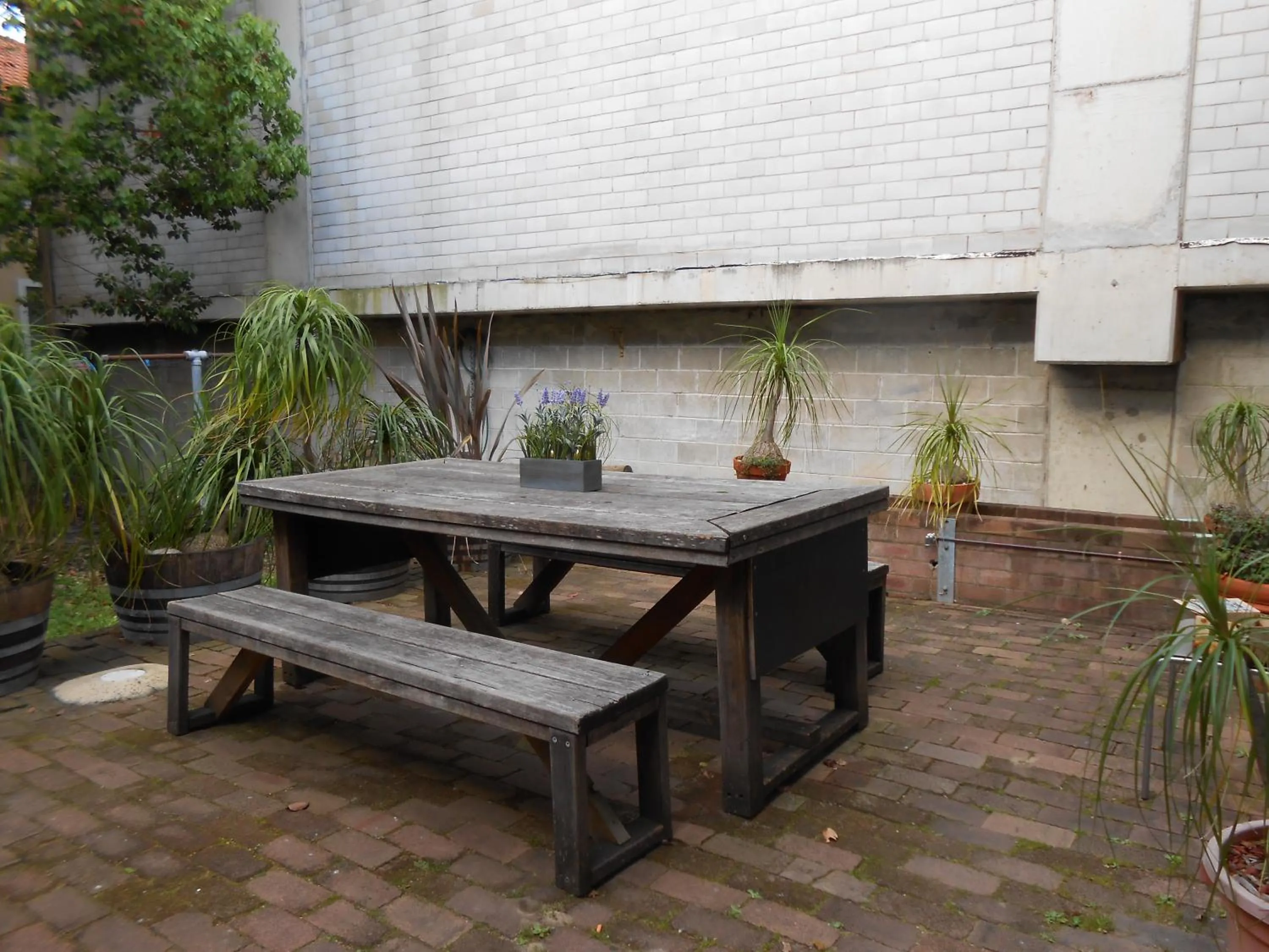 BBQ facilities in PodBed Coogee Beachside