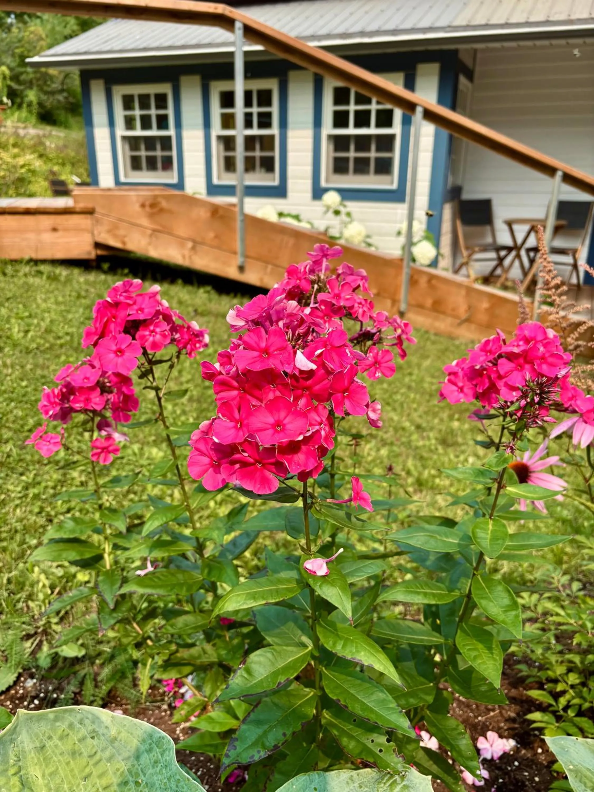 Property building in Auberge Sous les Arbres